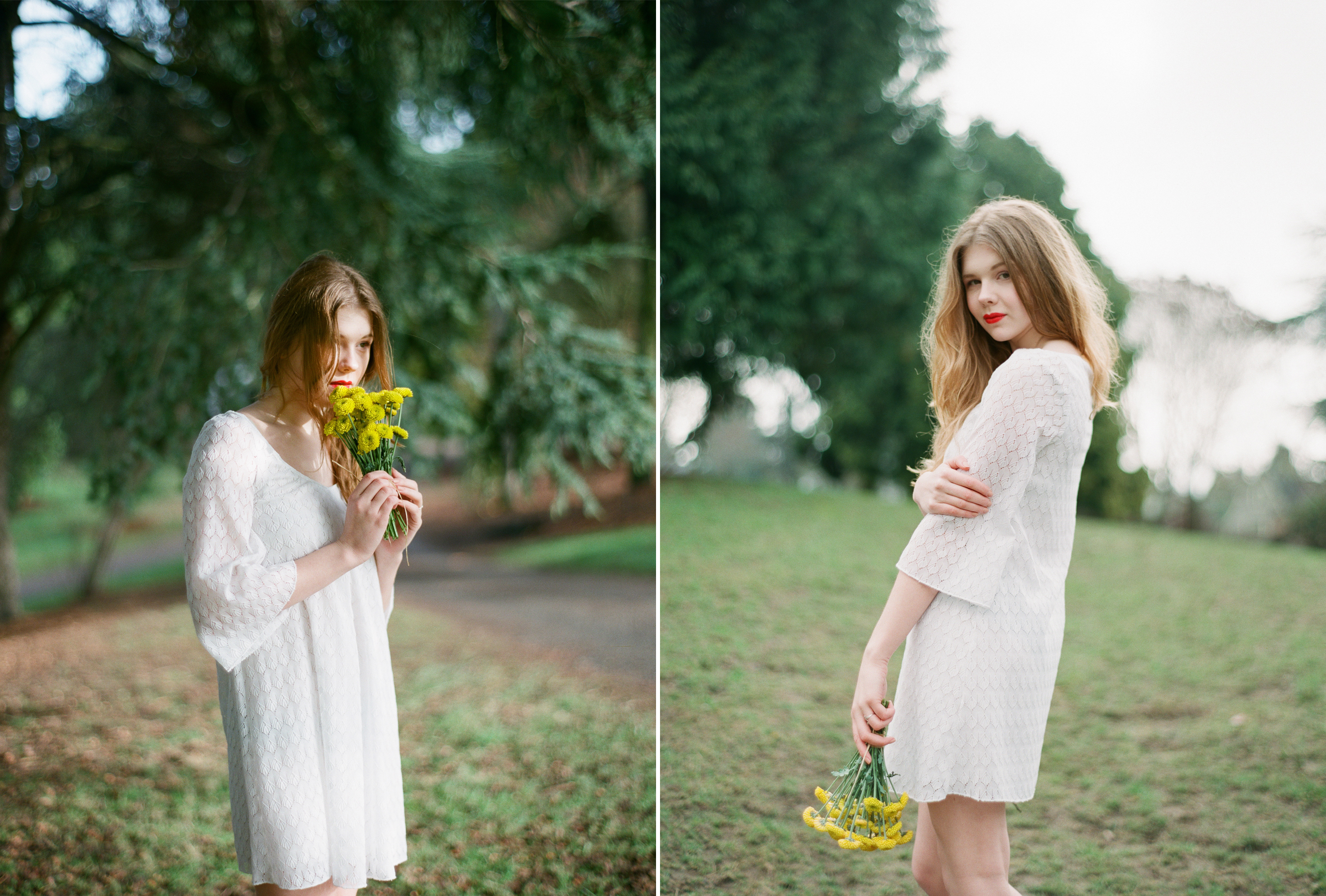 yellow flowers