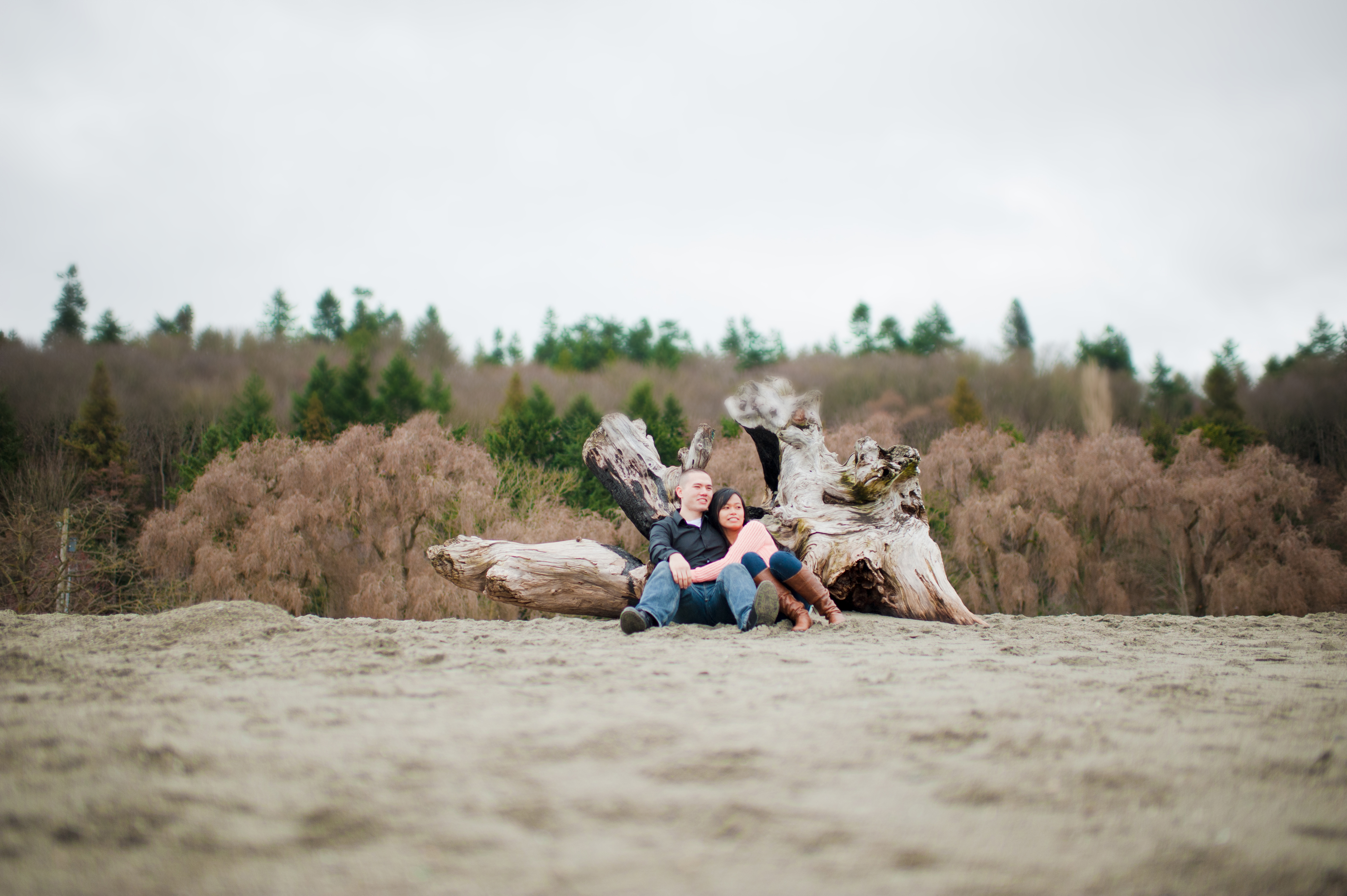 golden gardens engagement photos