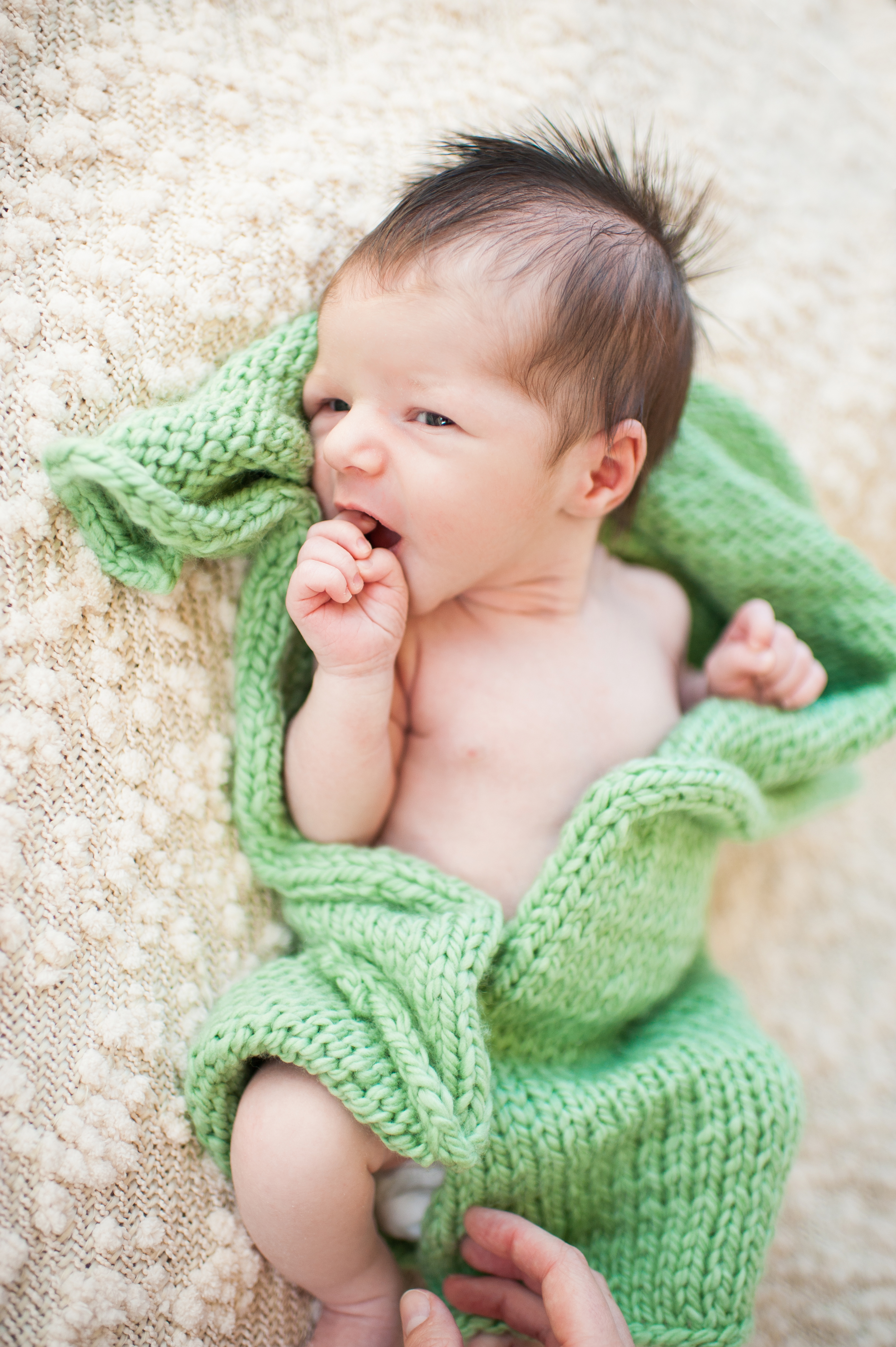 seattle newborn photographer