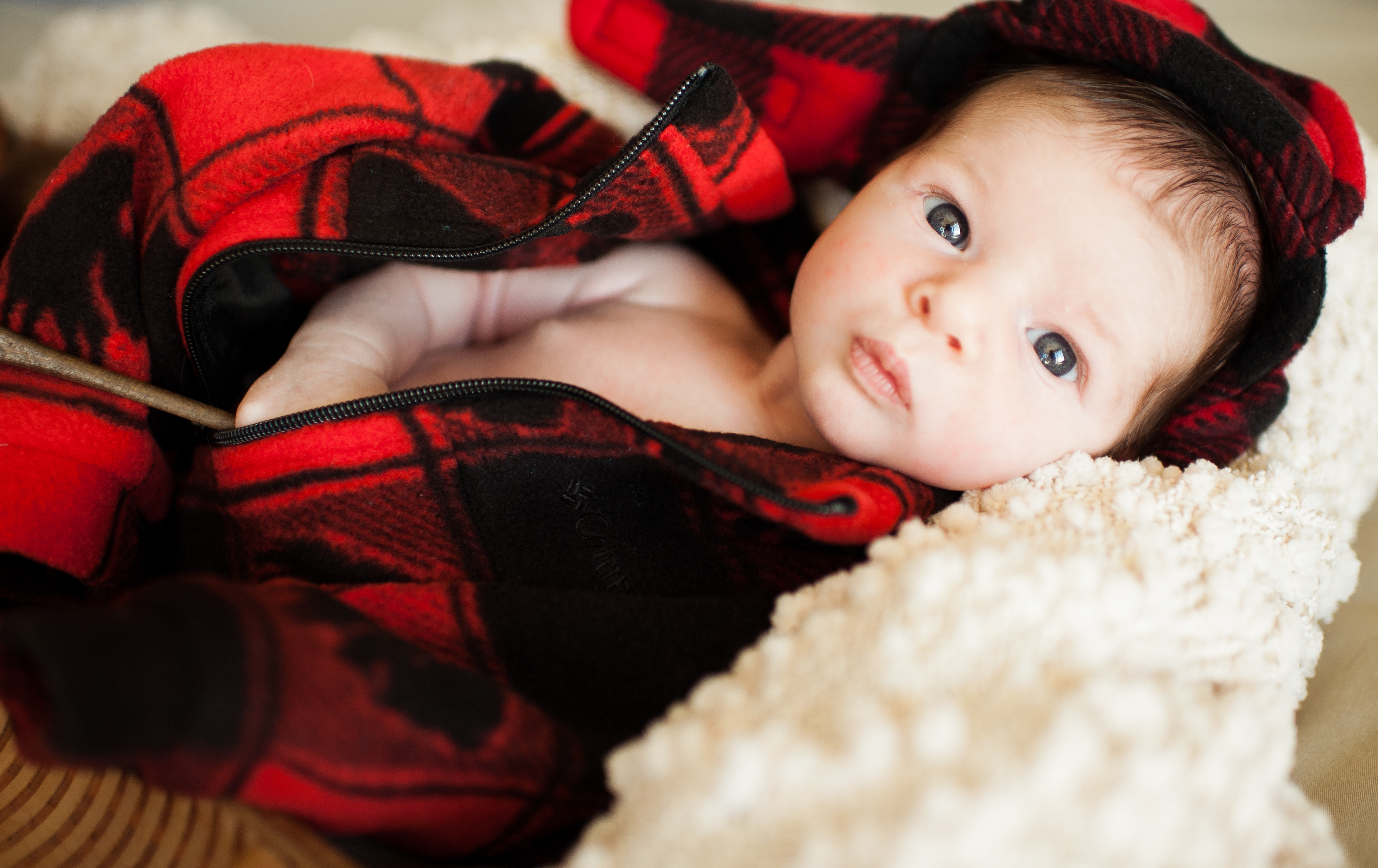 seattle newborn photographer