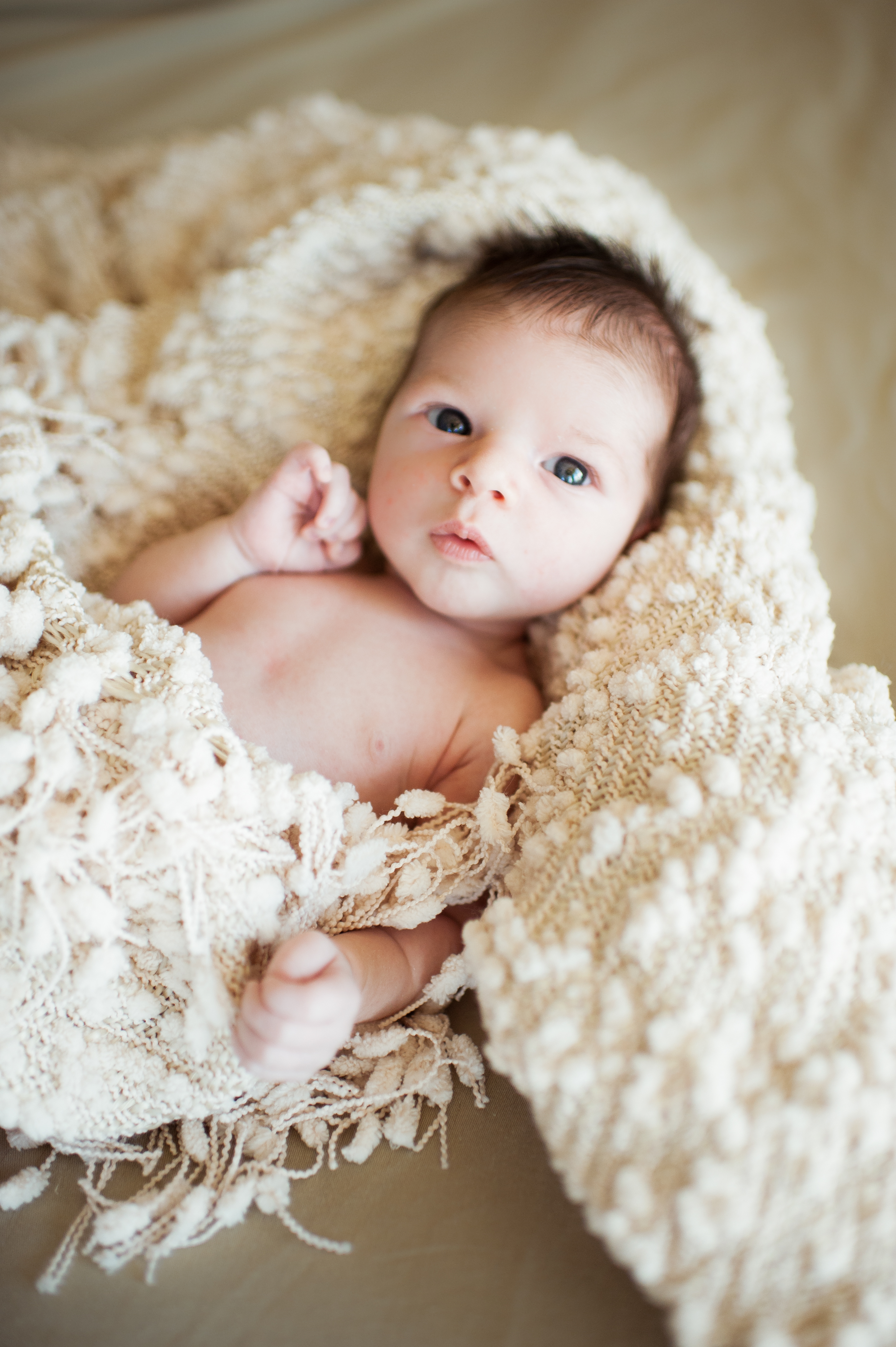 seattle newborn photographer