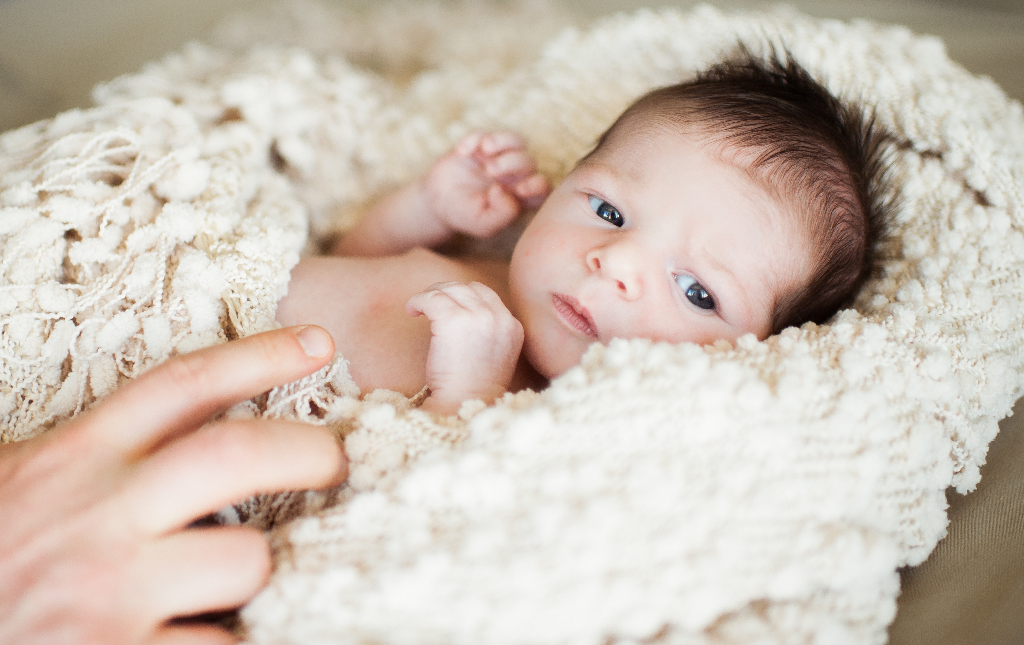 seattle newborn photographer