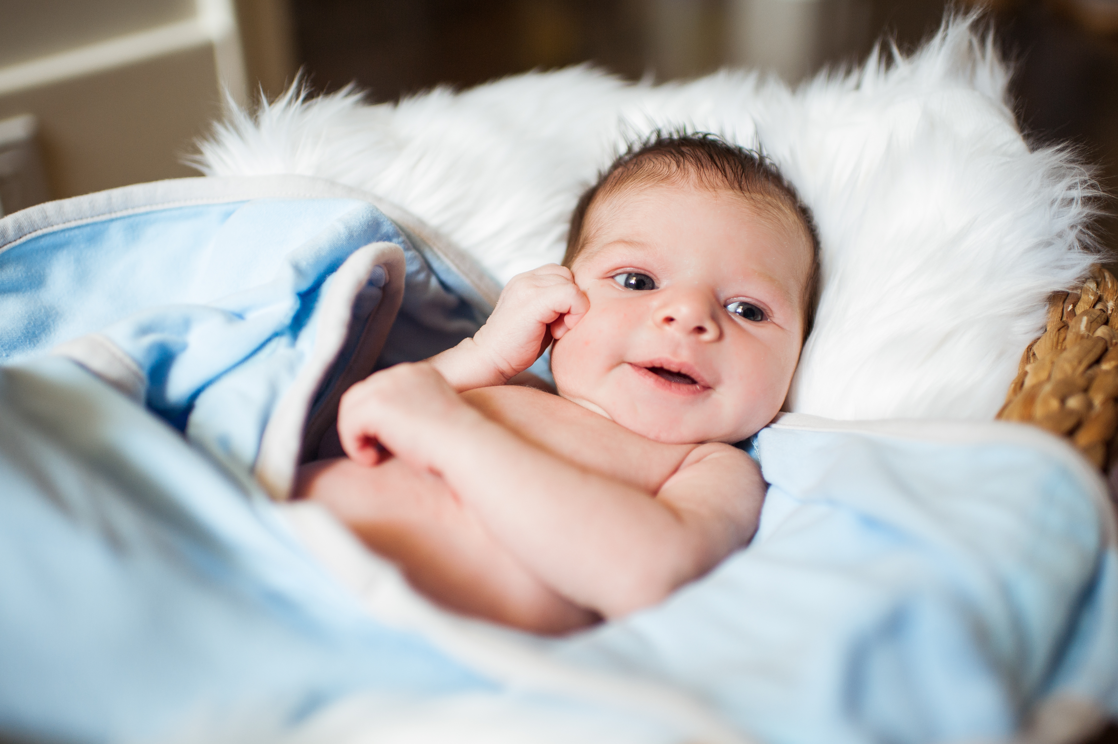 seattle newborn photographer