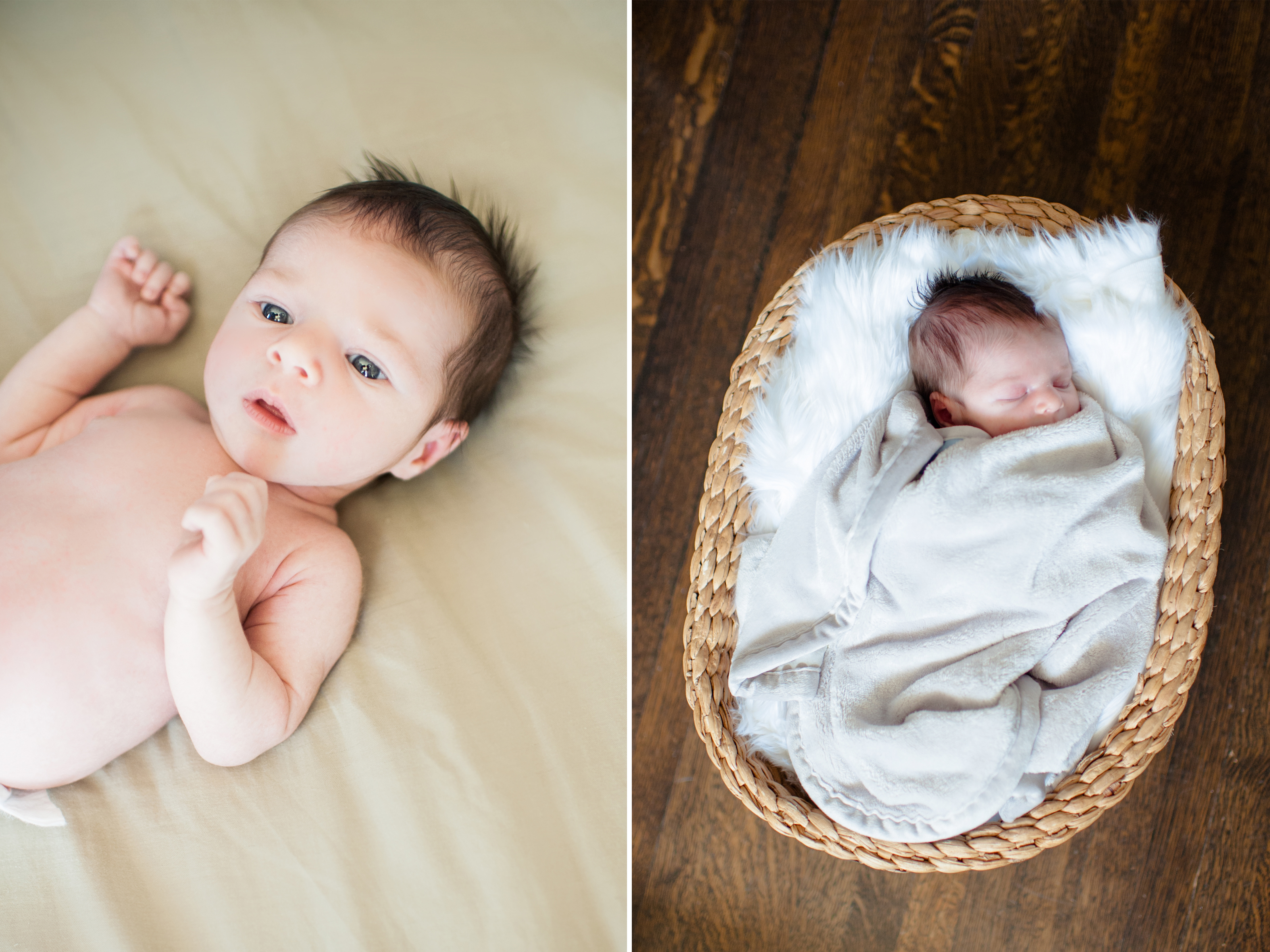 seattle newborn photographer