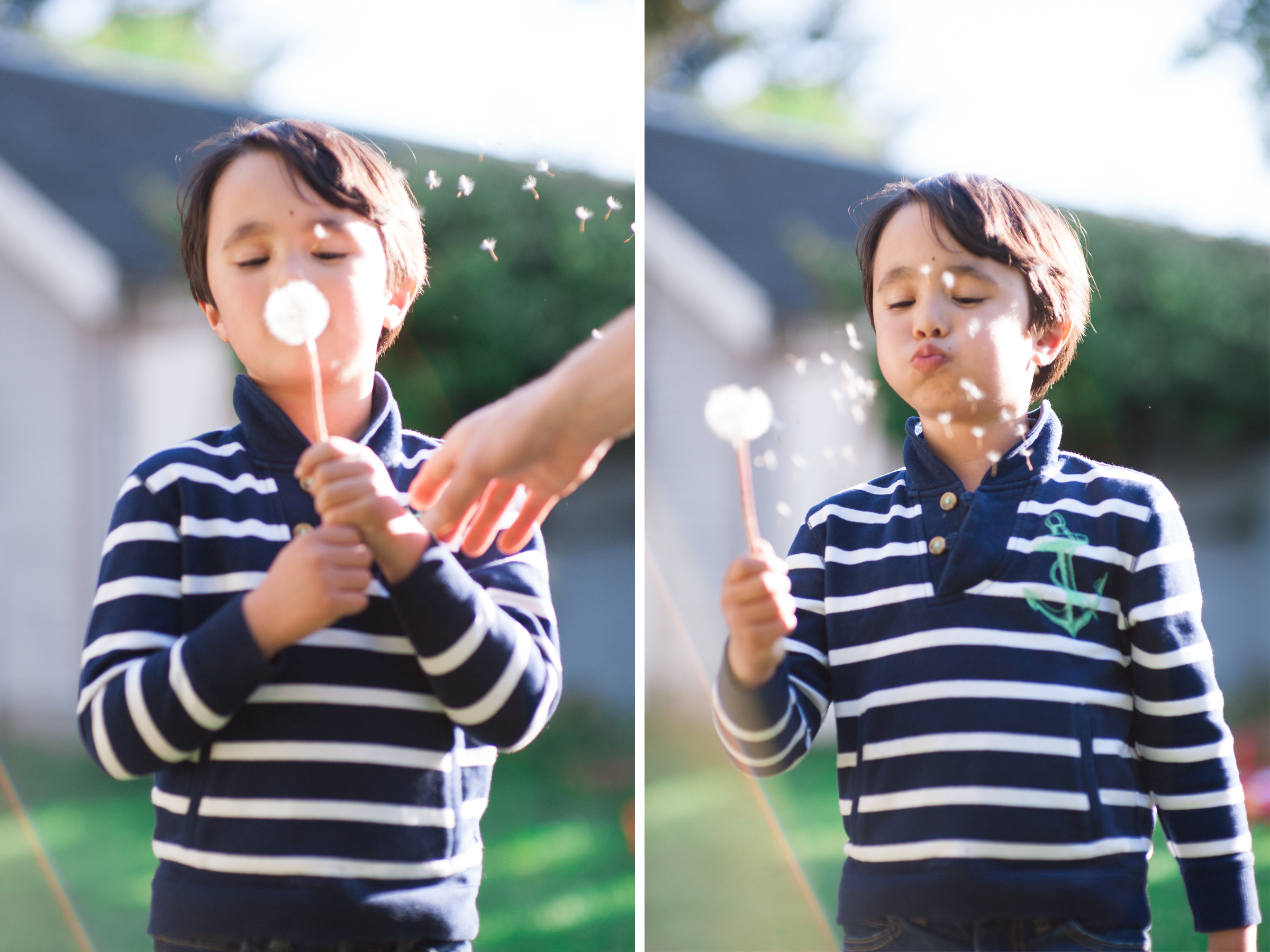 seattle kid portraits