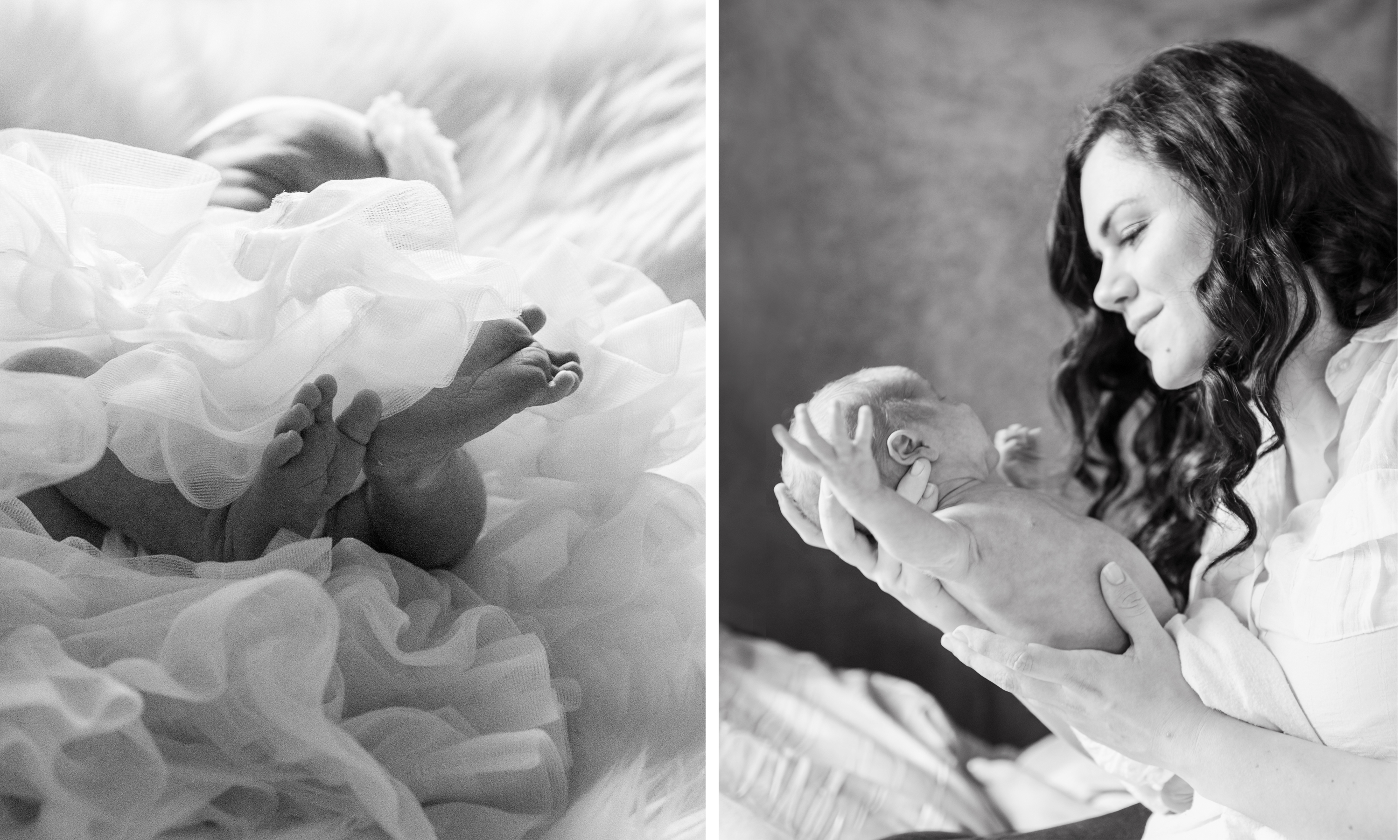 seattle newborn photographer