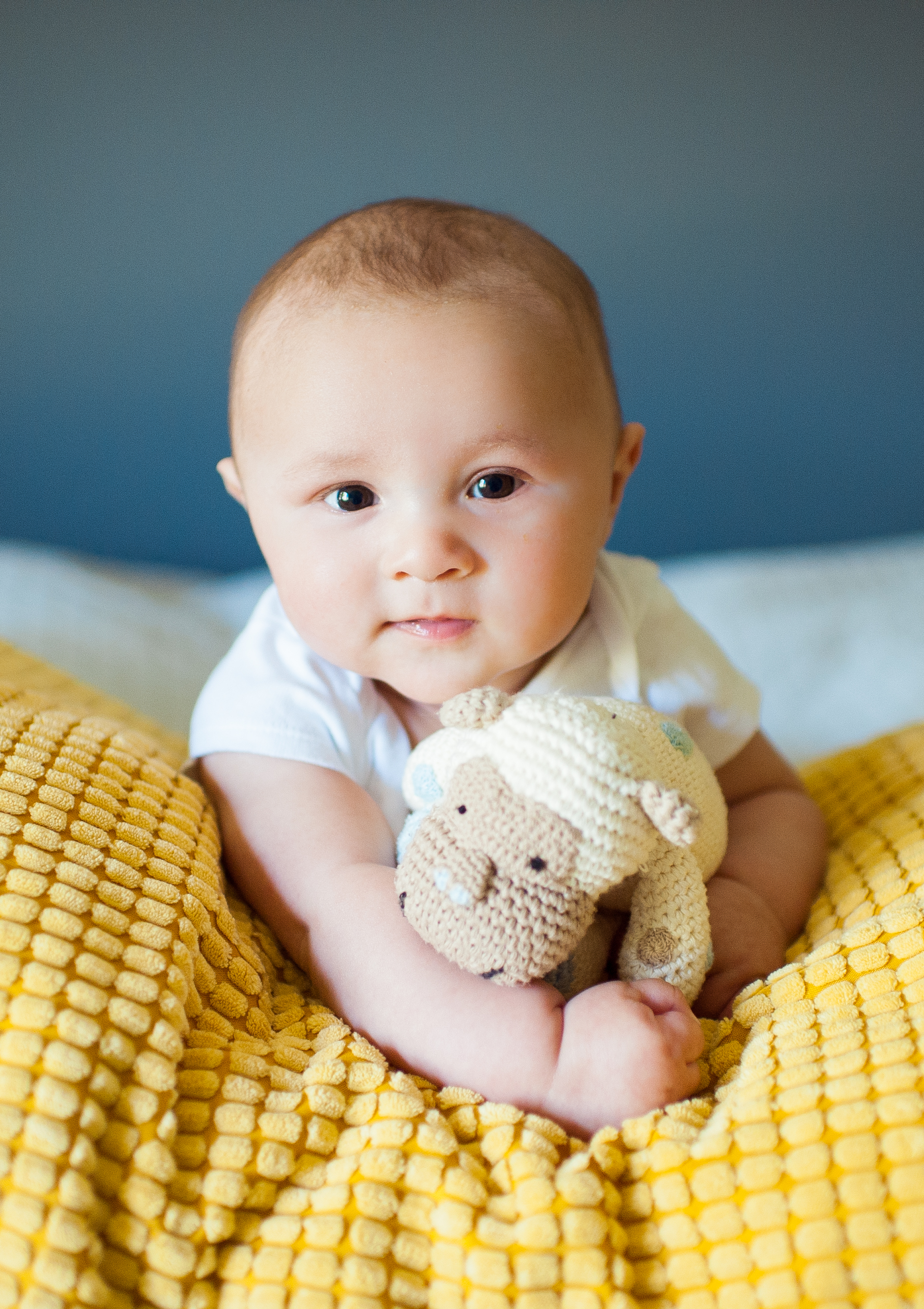 seattle baby portrait photography