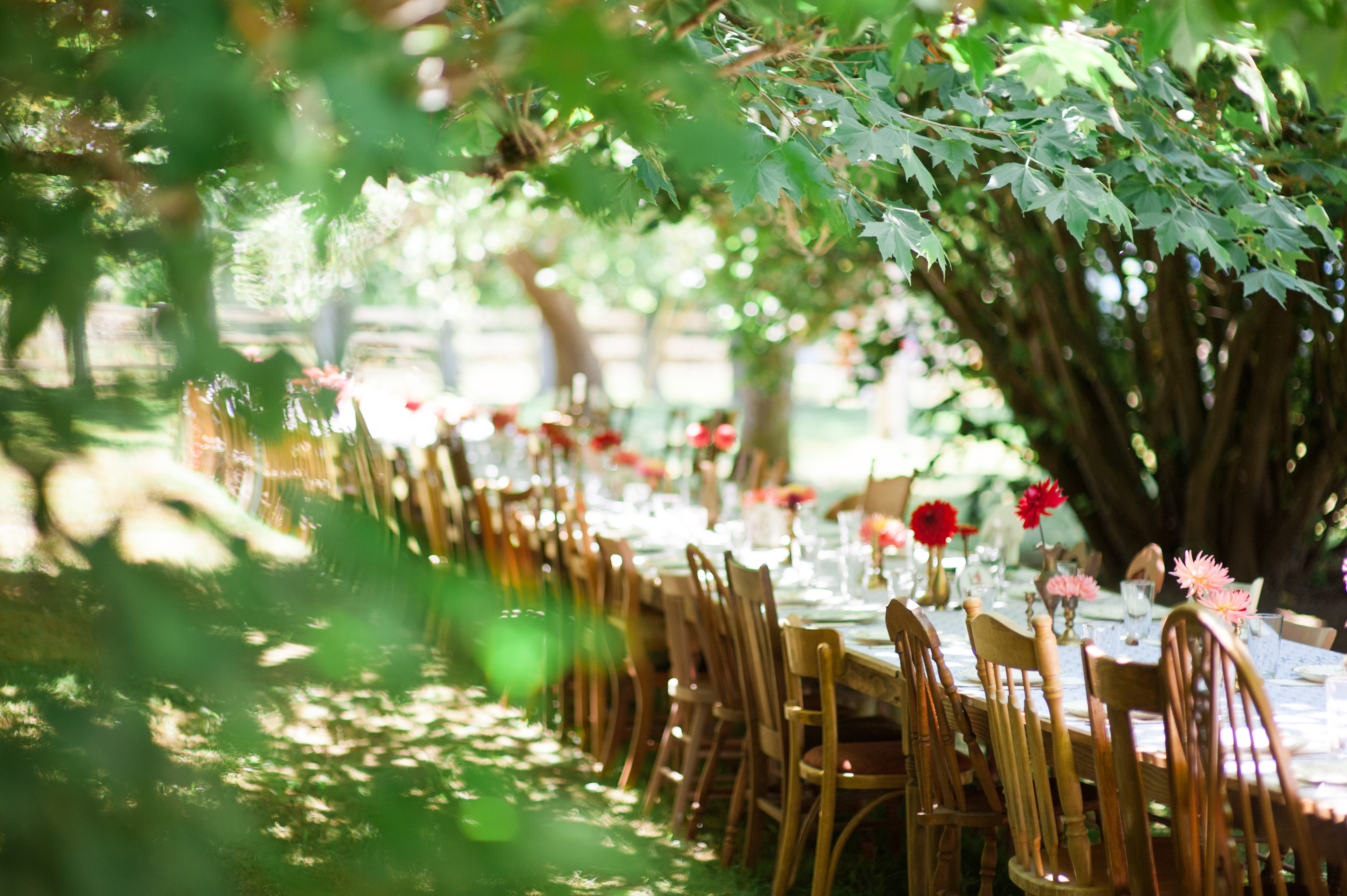 wayfarer farm wedding whidbey island