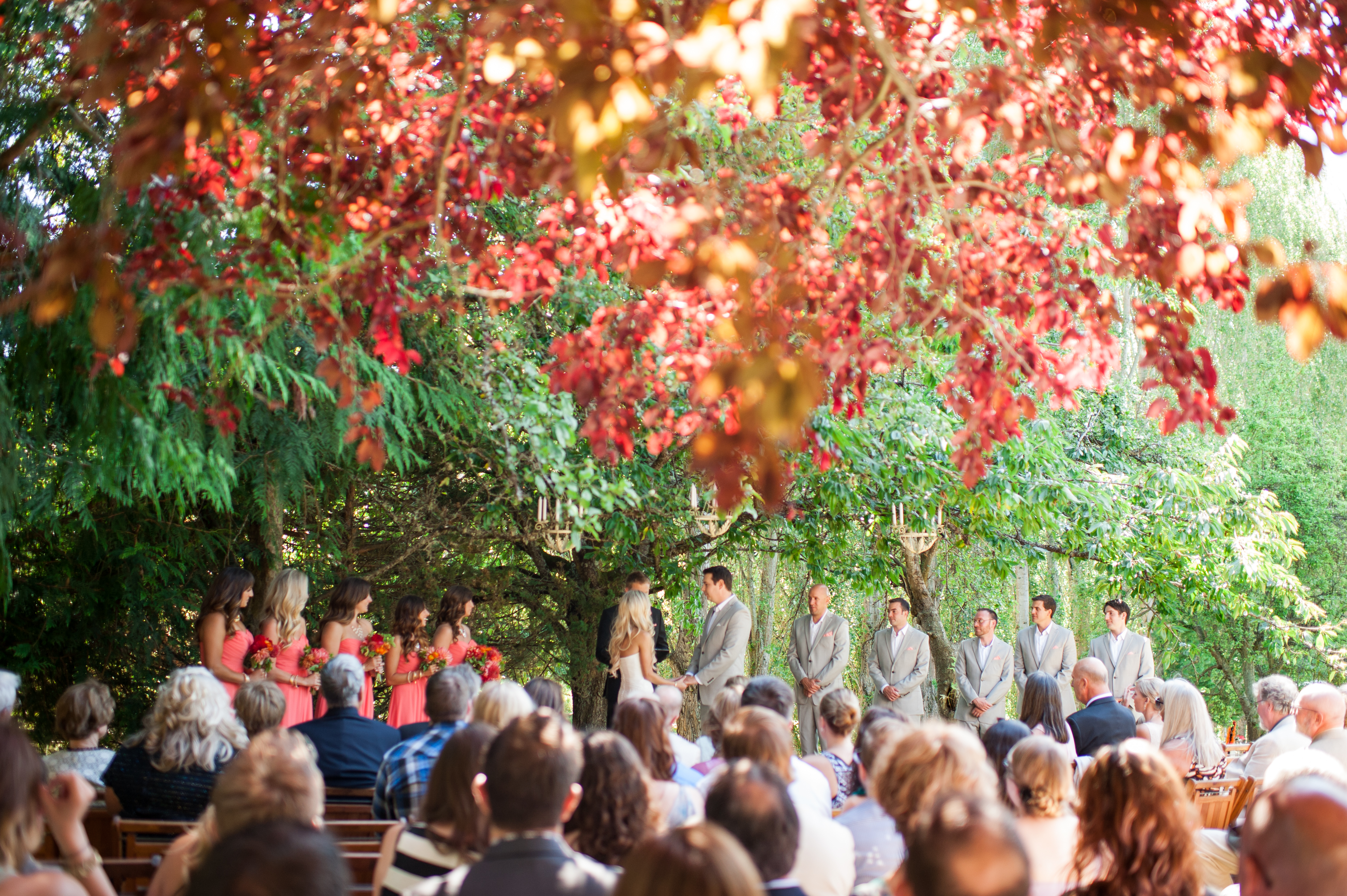 wayfarer farm wedding whidbey island