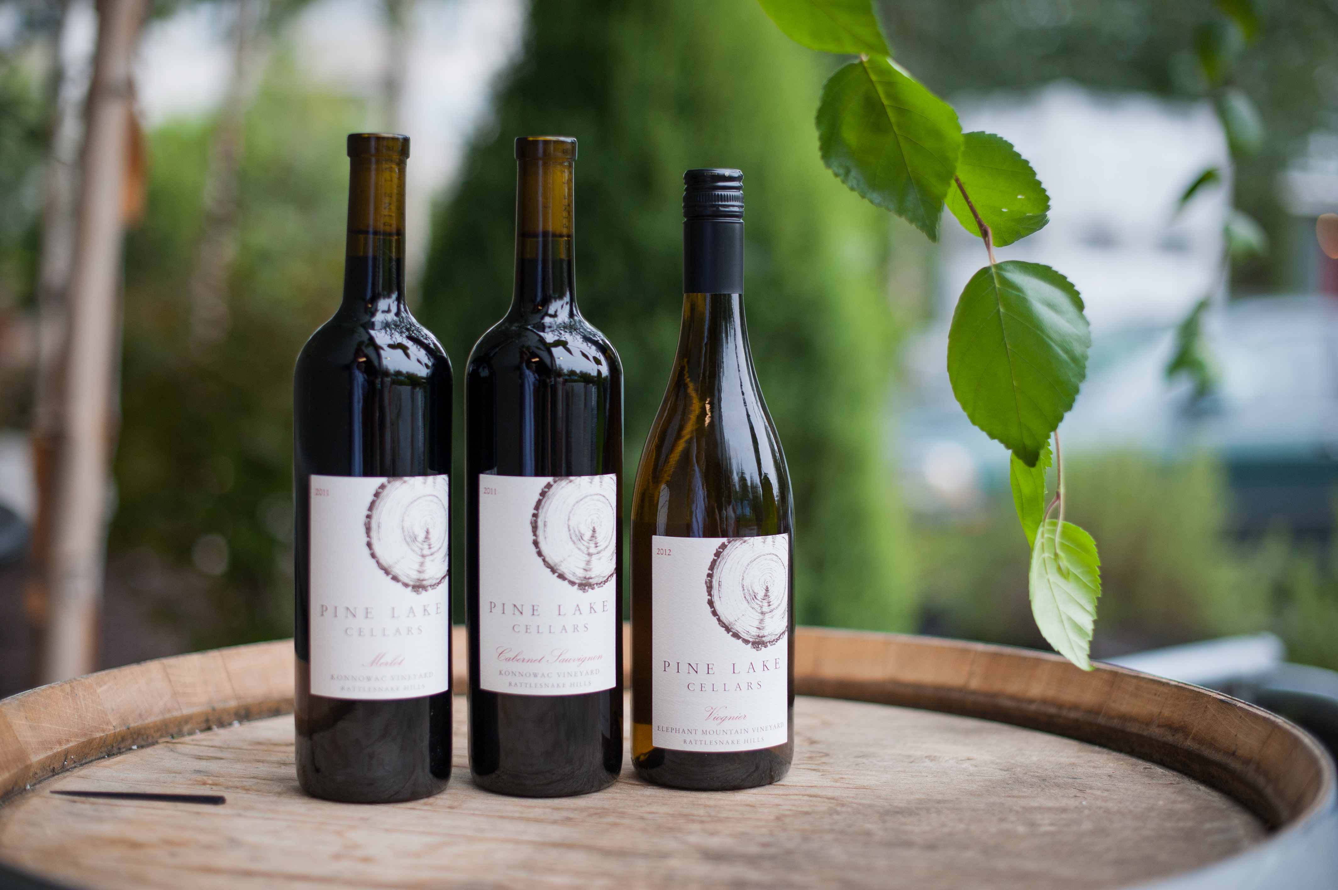 Seattle Winery Product Photographer