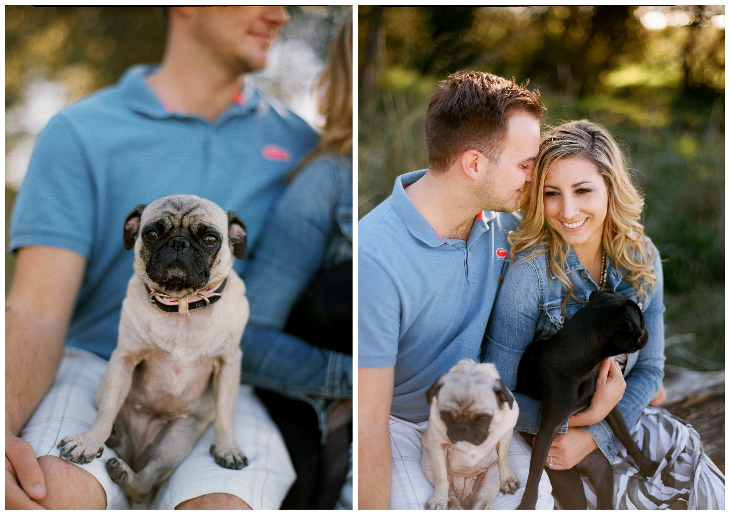 golden_gardens_engagement_002