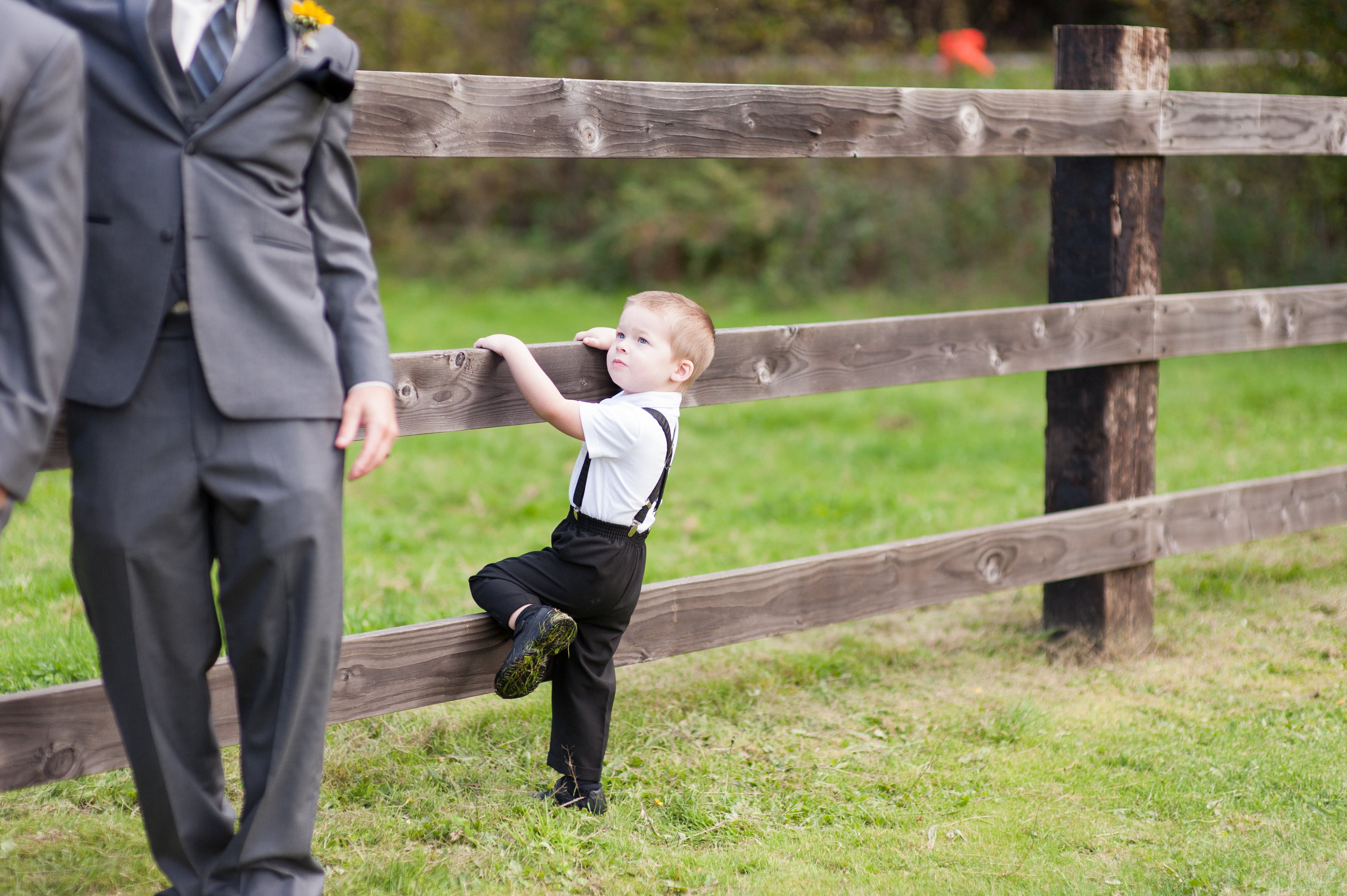 fall wedding kelley farm bonney lake washington  sunflowers