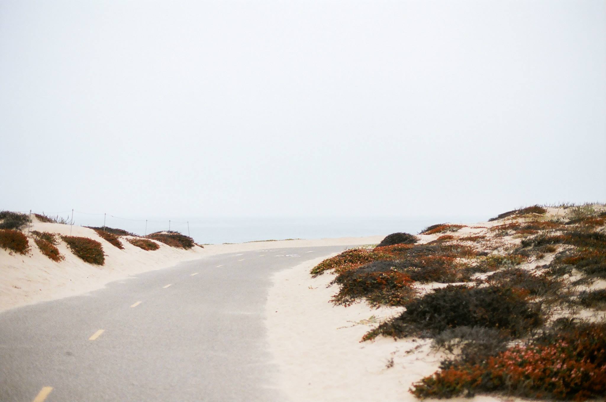 monterey ca sand dunes