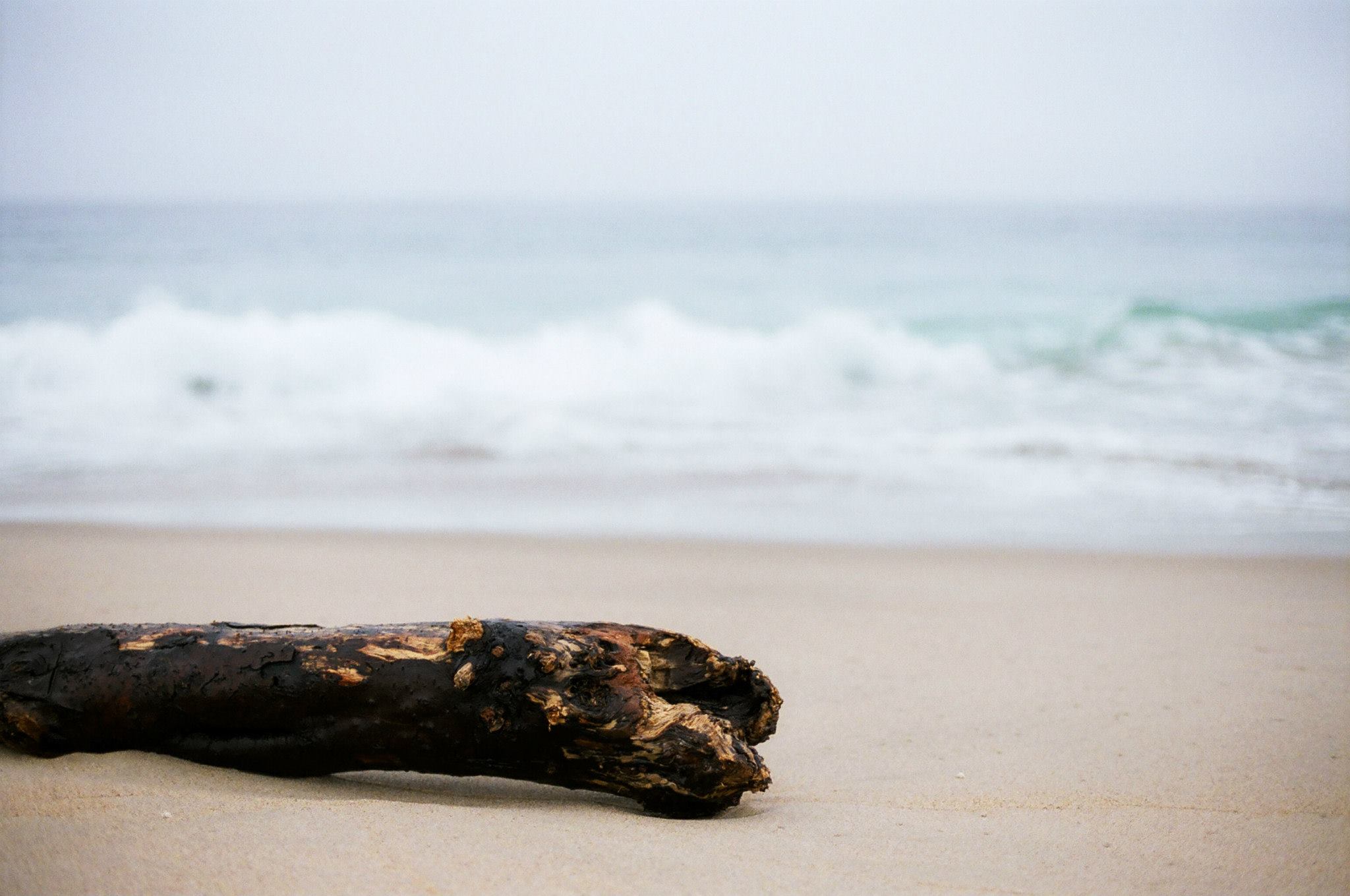 film photography california beach