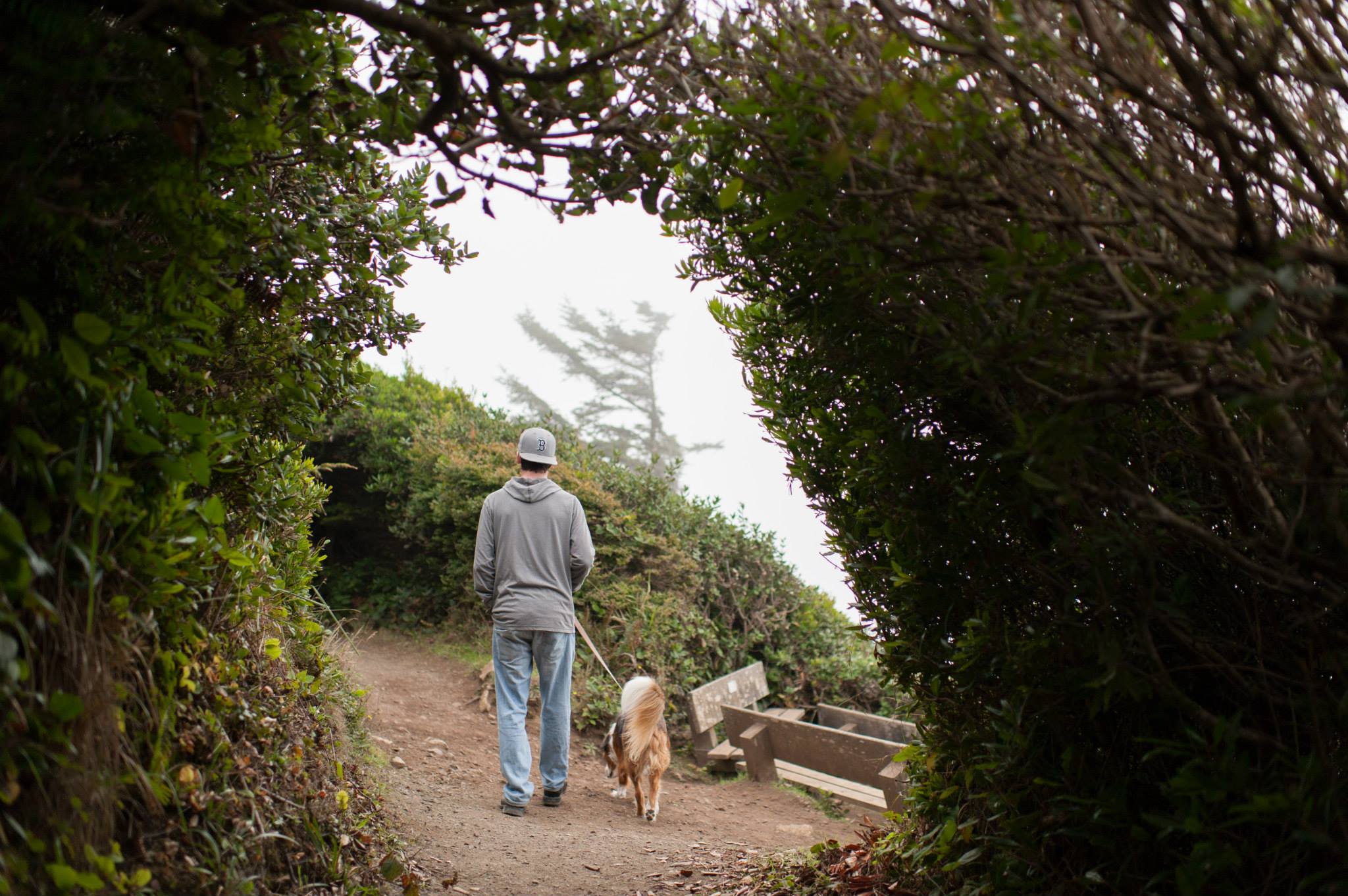 wedding photographers explore turtle rock trinidad ca