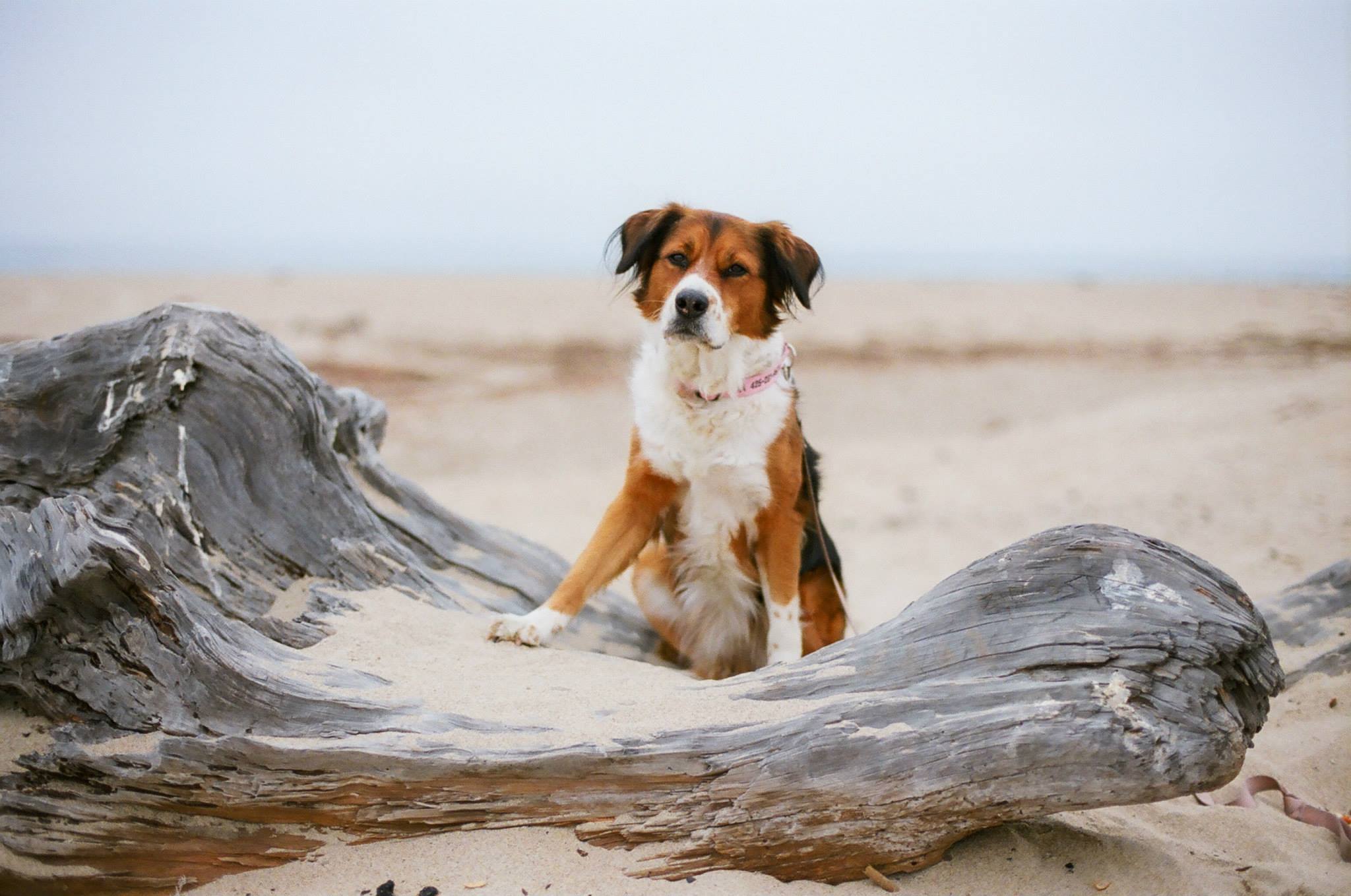 a wedding photographers road trip