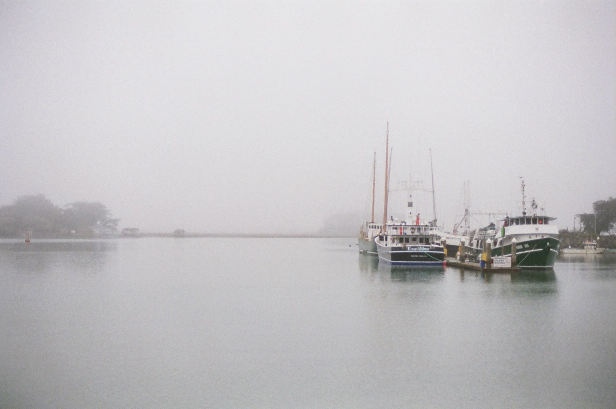 Eureka Ca foggy marina