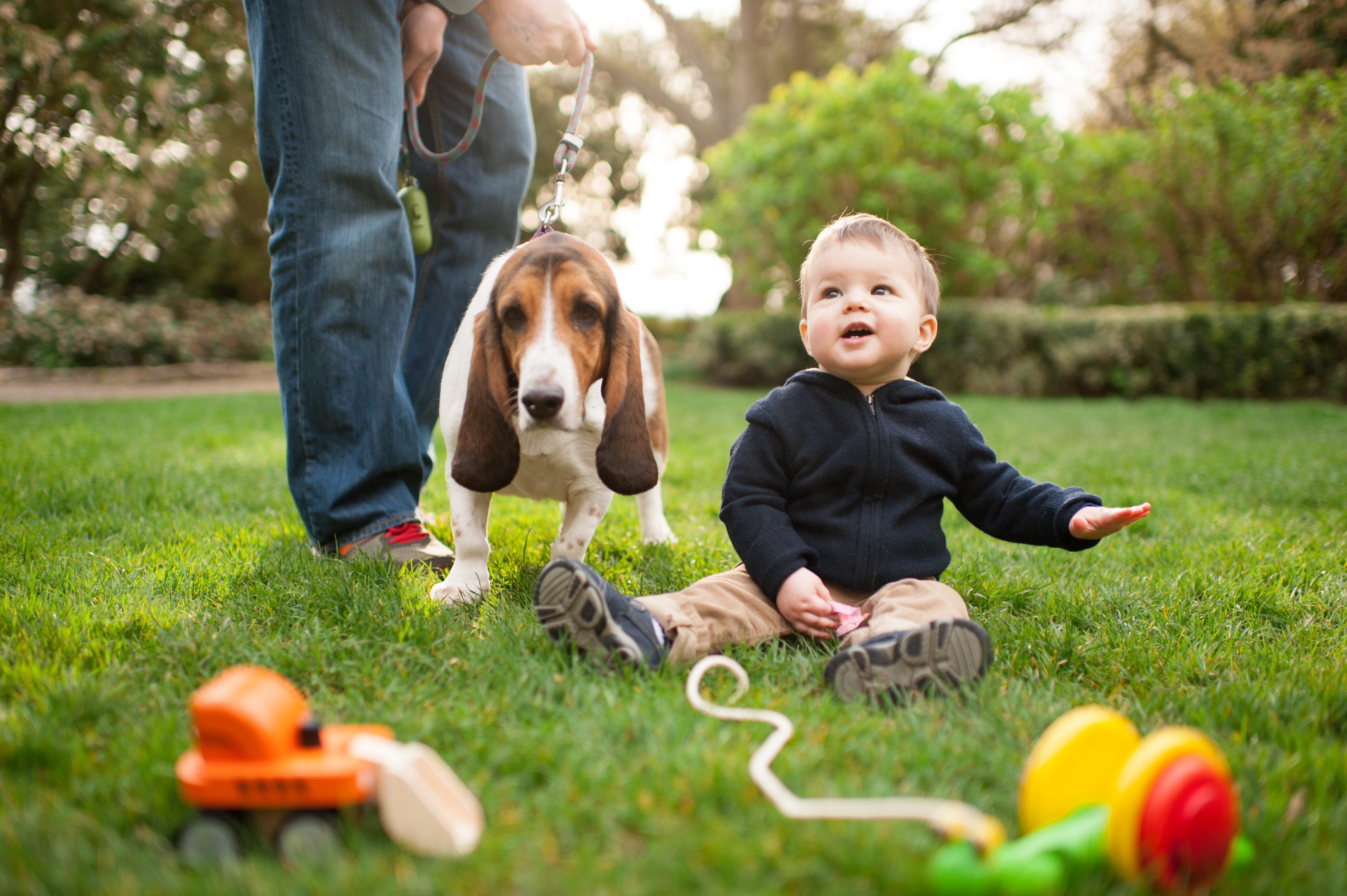 1 year old boy portraits seattle