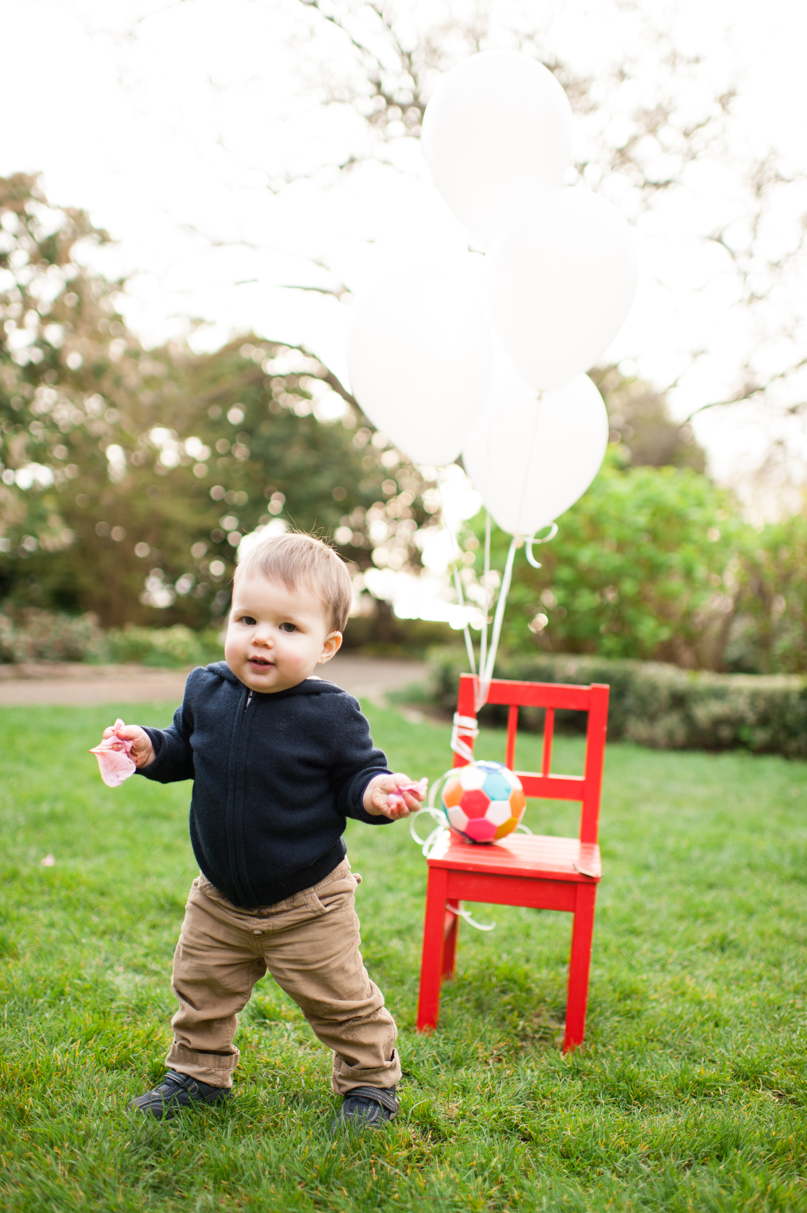 queen anne parsons garden baby photography