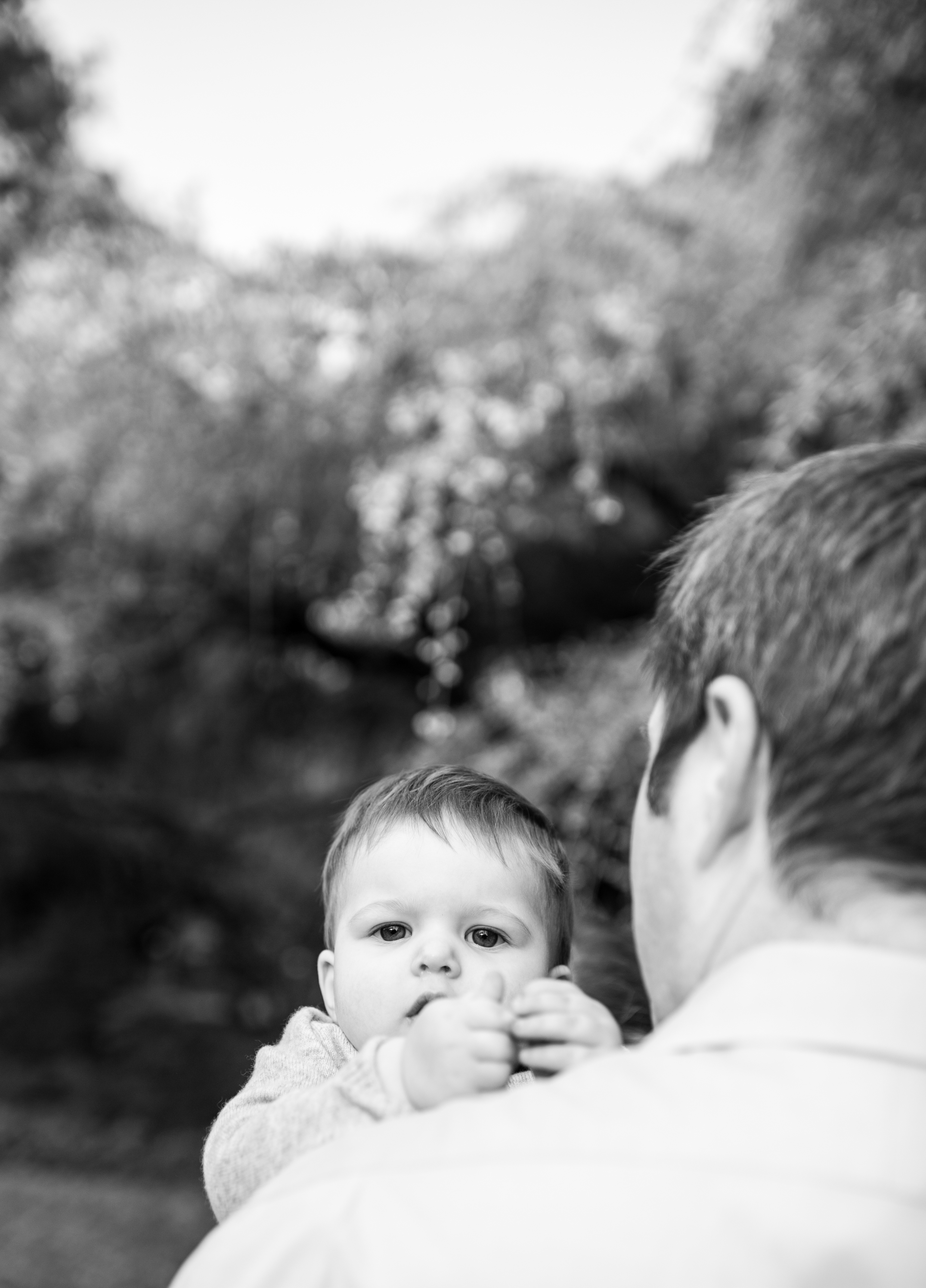 queen anne parsons garden baby photography