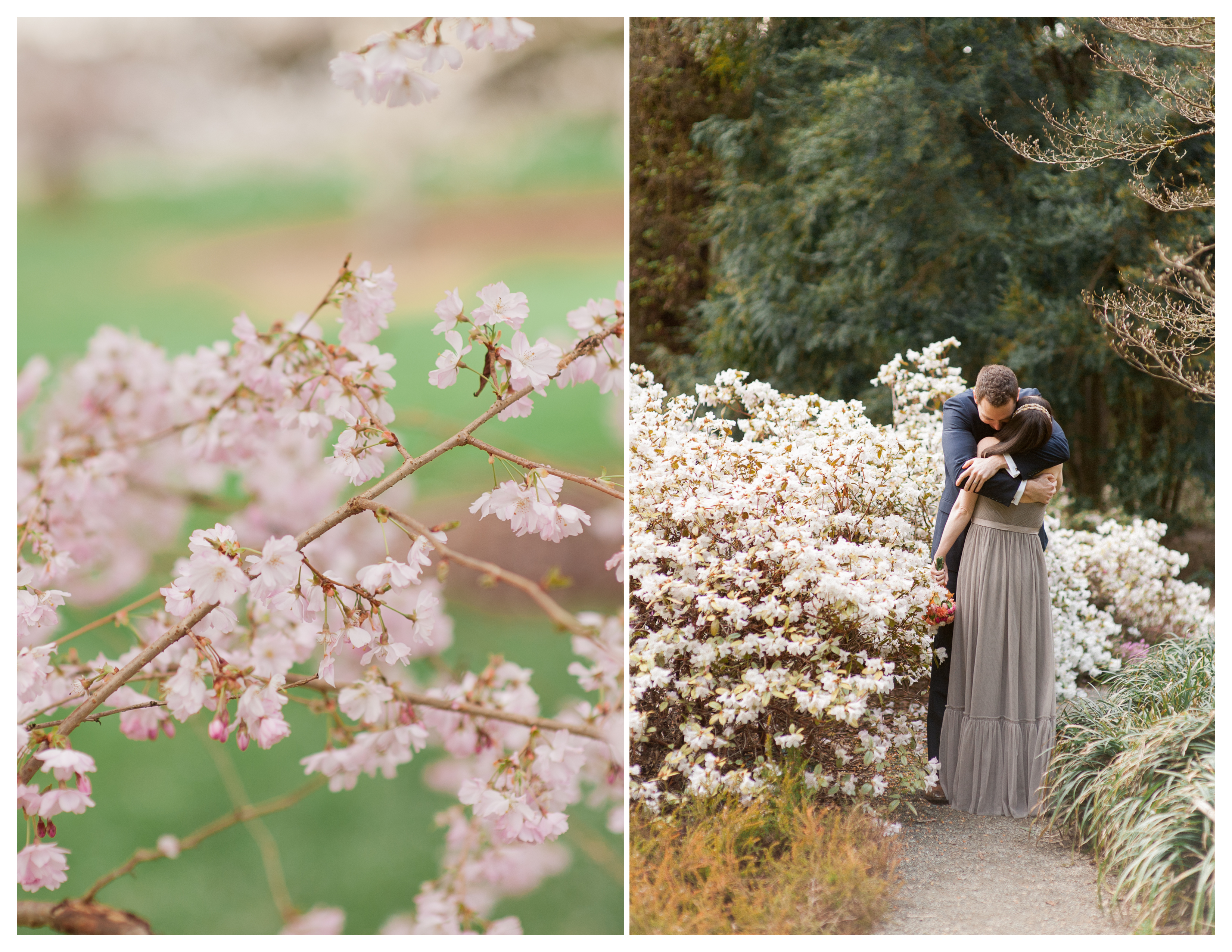 spring wa arboretum cherry blossom portraits