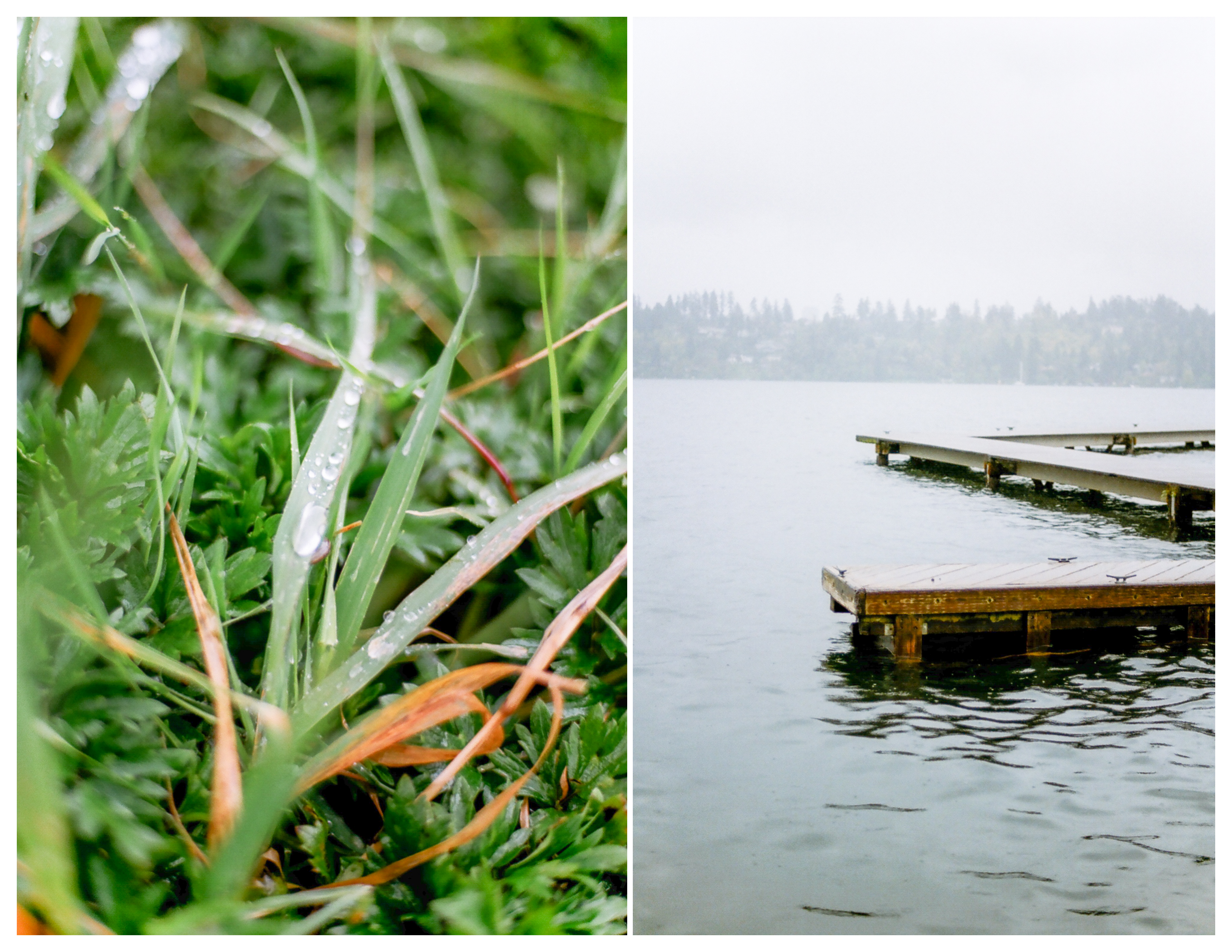 Luther Burbank Park Seattle Film Photography