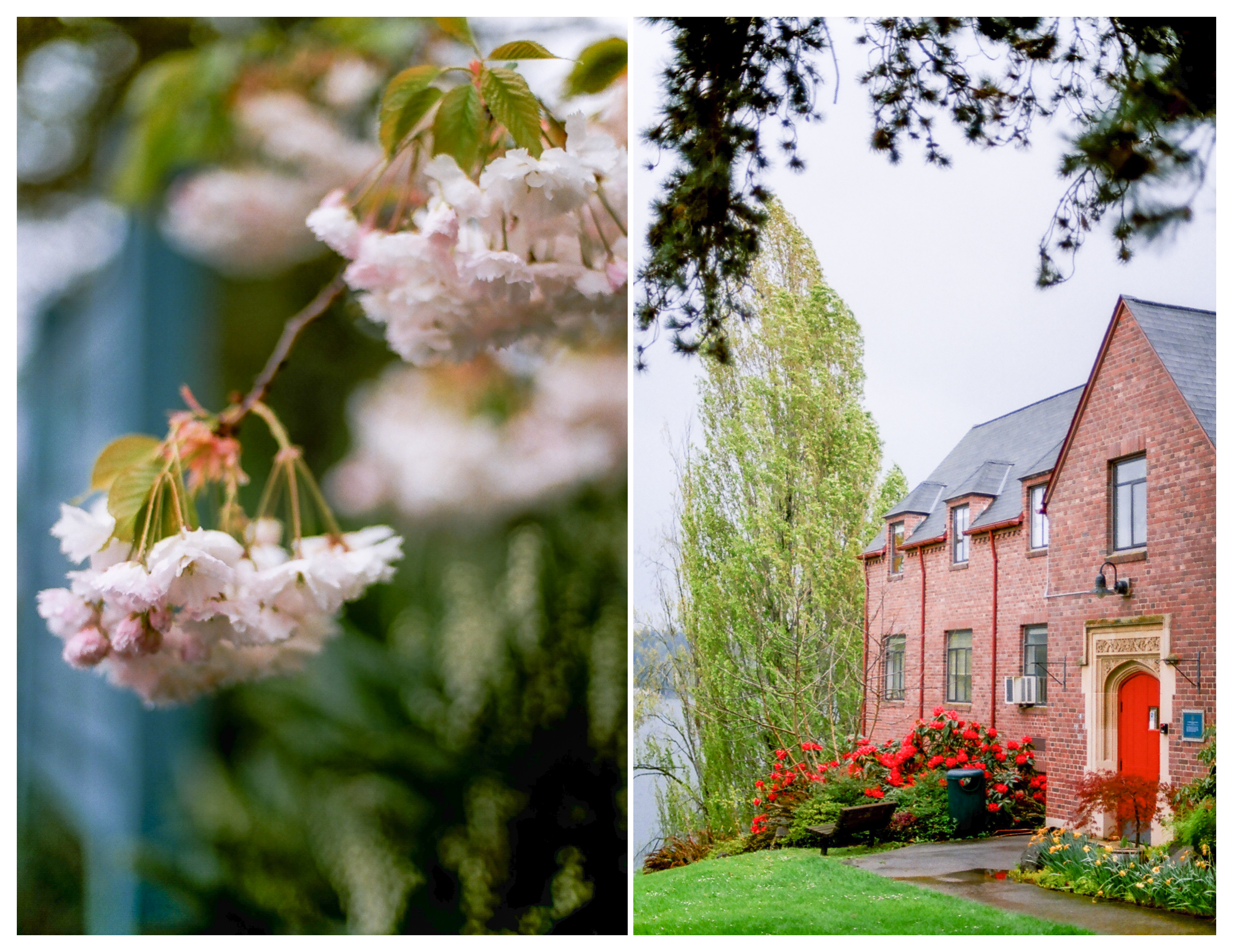 luther burbank park film photography seattle