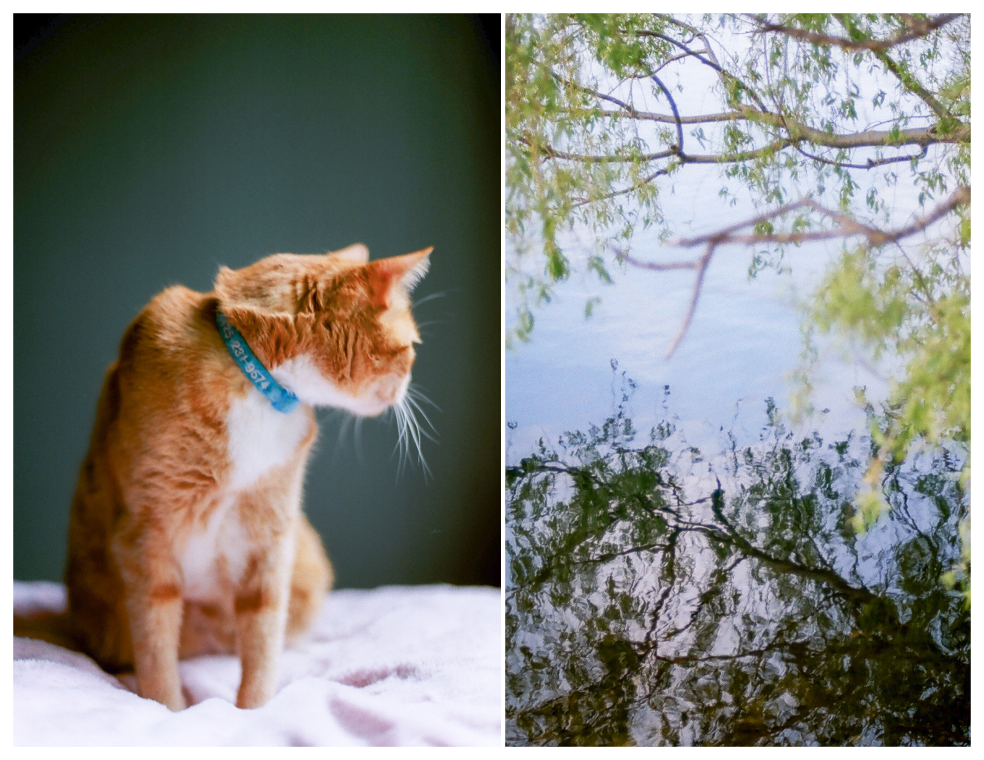 luther burbank park film photography seattle