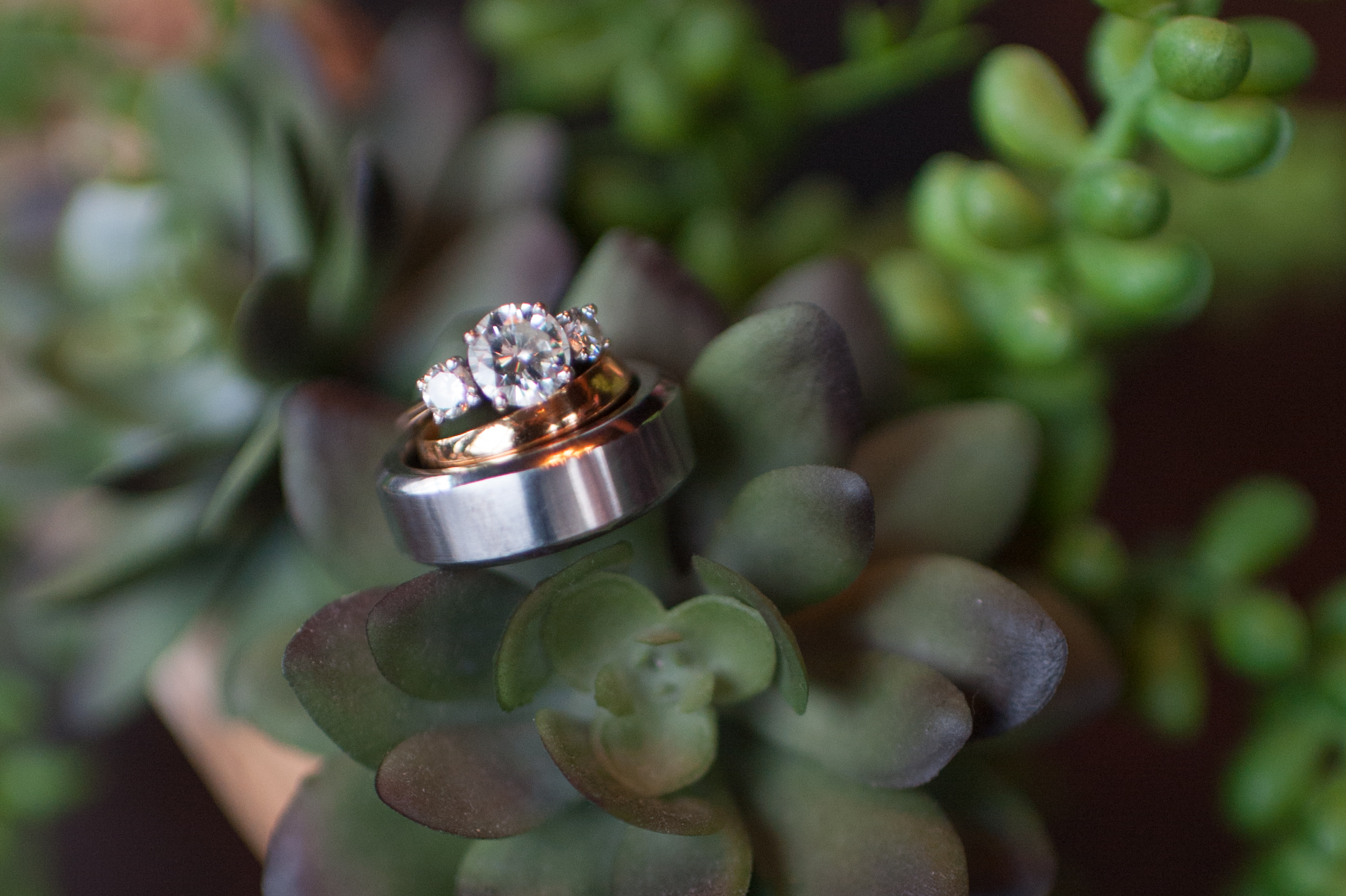 beechers loft wedding pike place market seattle