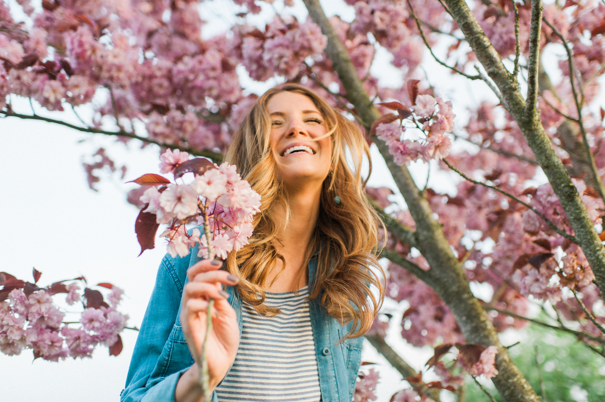 whidbey island cherry blossom engagement pictures