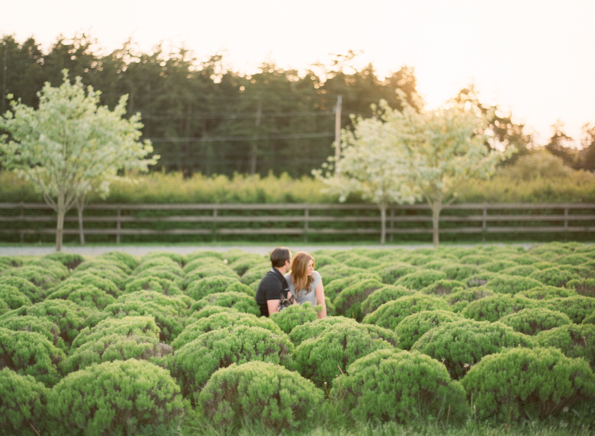 whidbey island engagement pictures film french bulldog