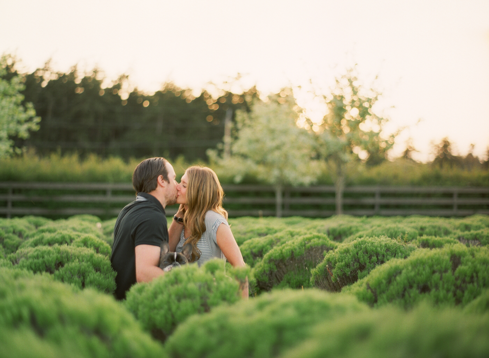 whidbey island engagement pictures film french bulldog