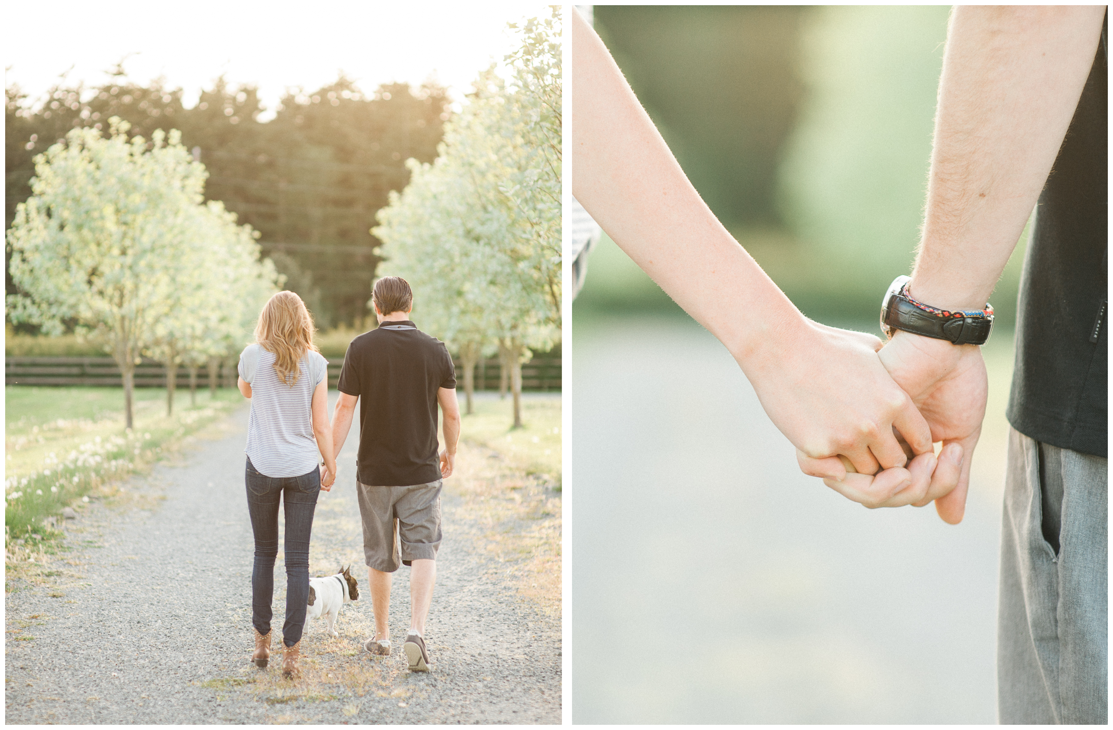 whidbey island engagement pictures film french bulldog