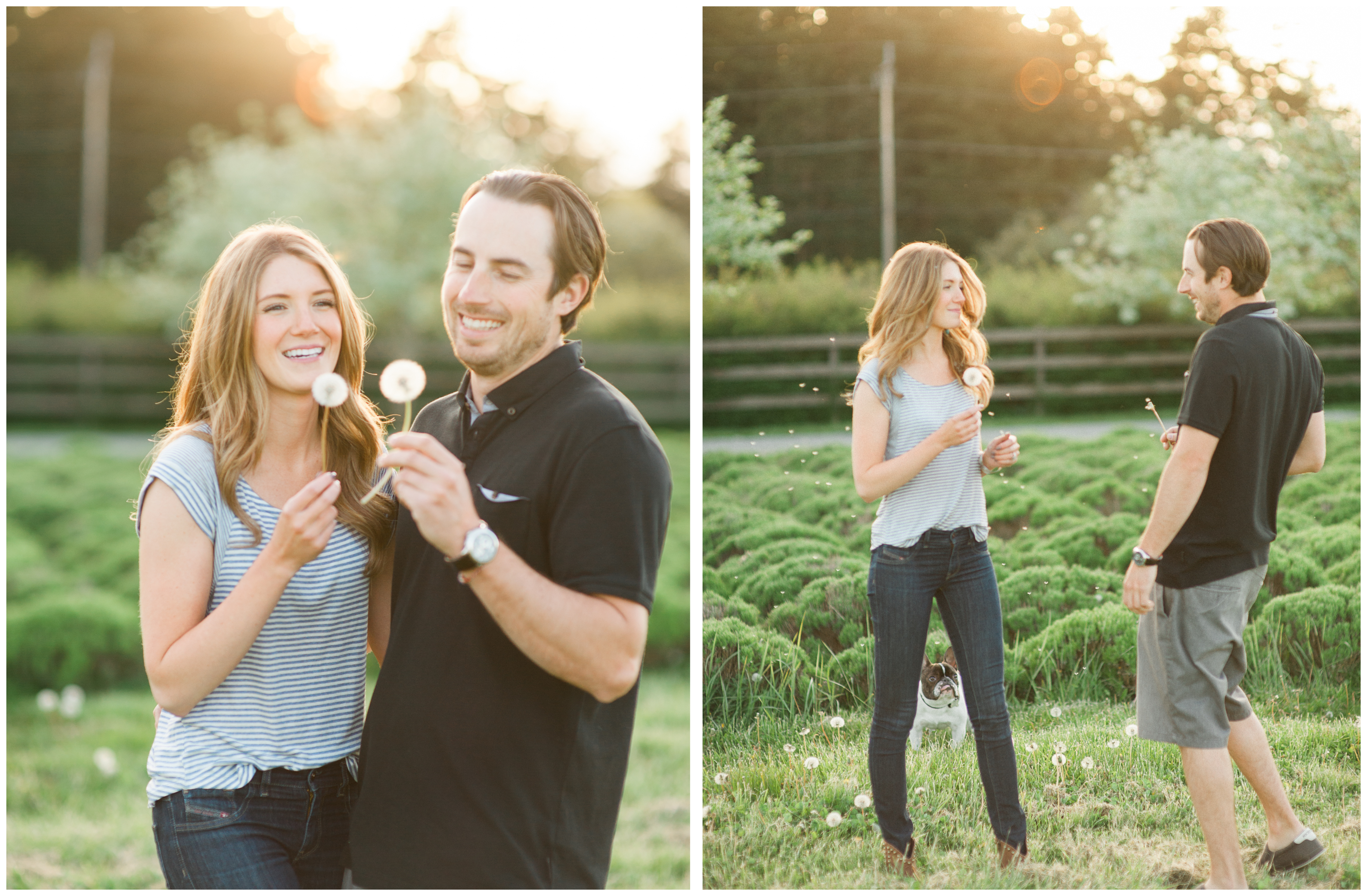 whidbey island engagement photography film french bulldog