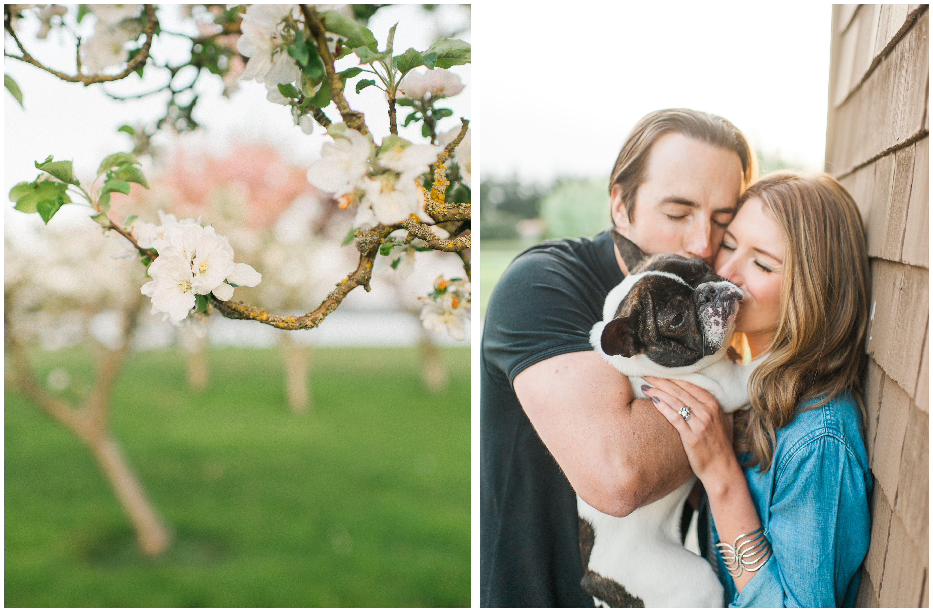 whidbey island engagement photography film french bulldog