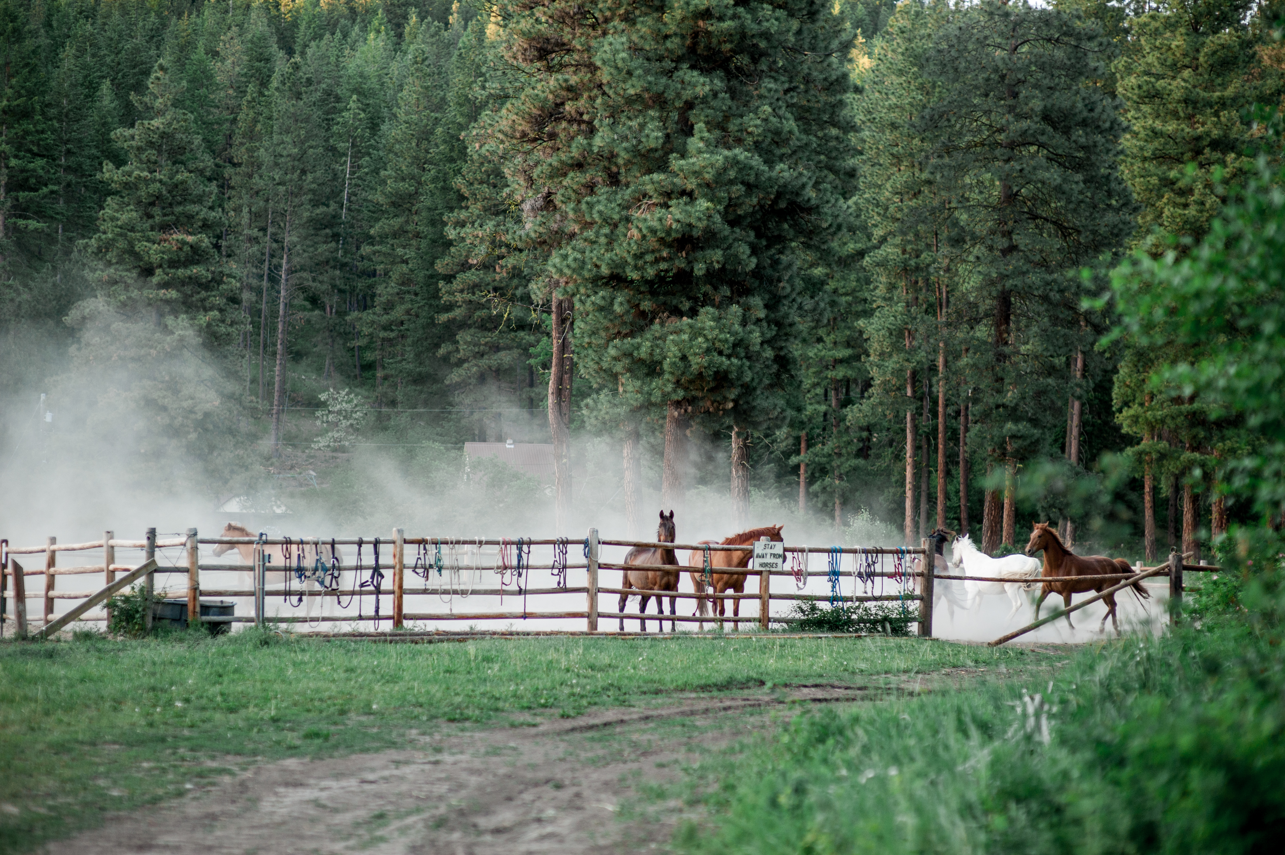 mountain springs lodge wedding leavenworth wa