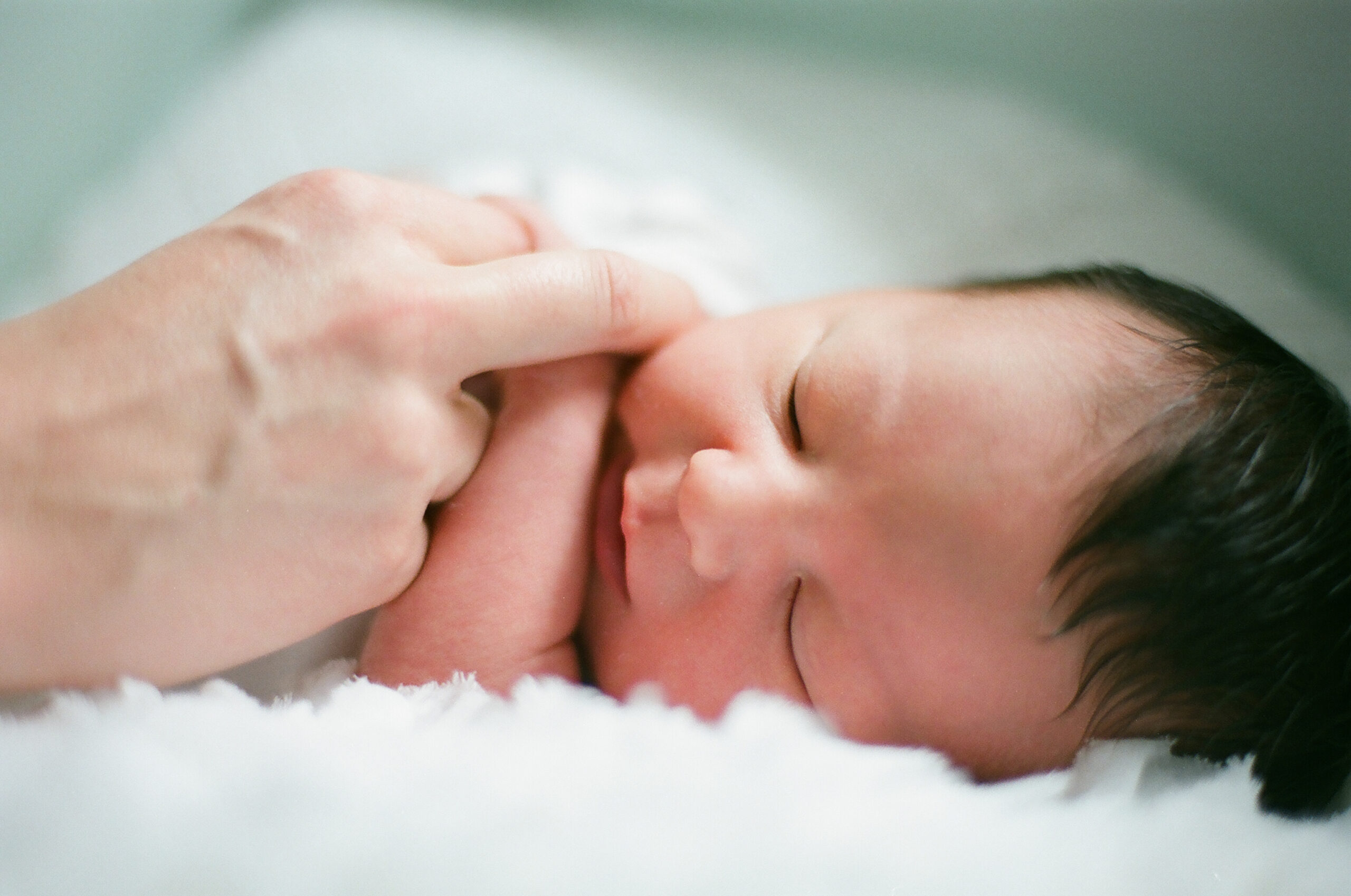 seattle newborn photography film