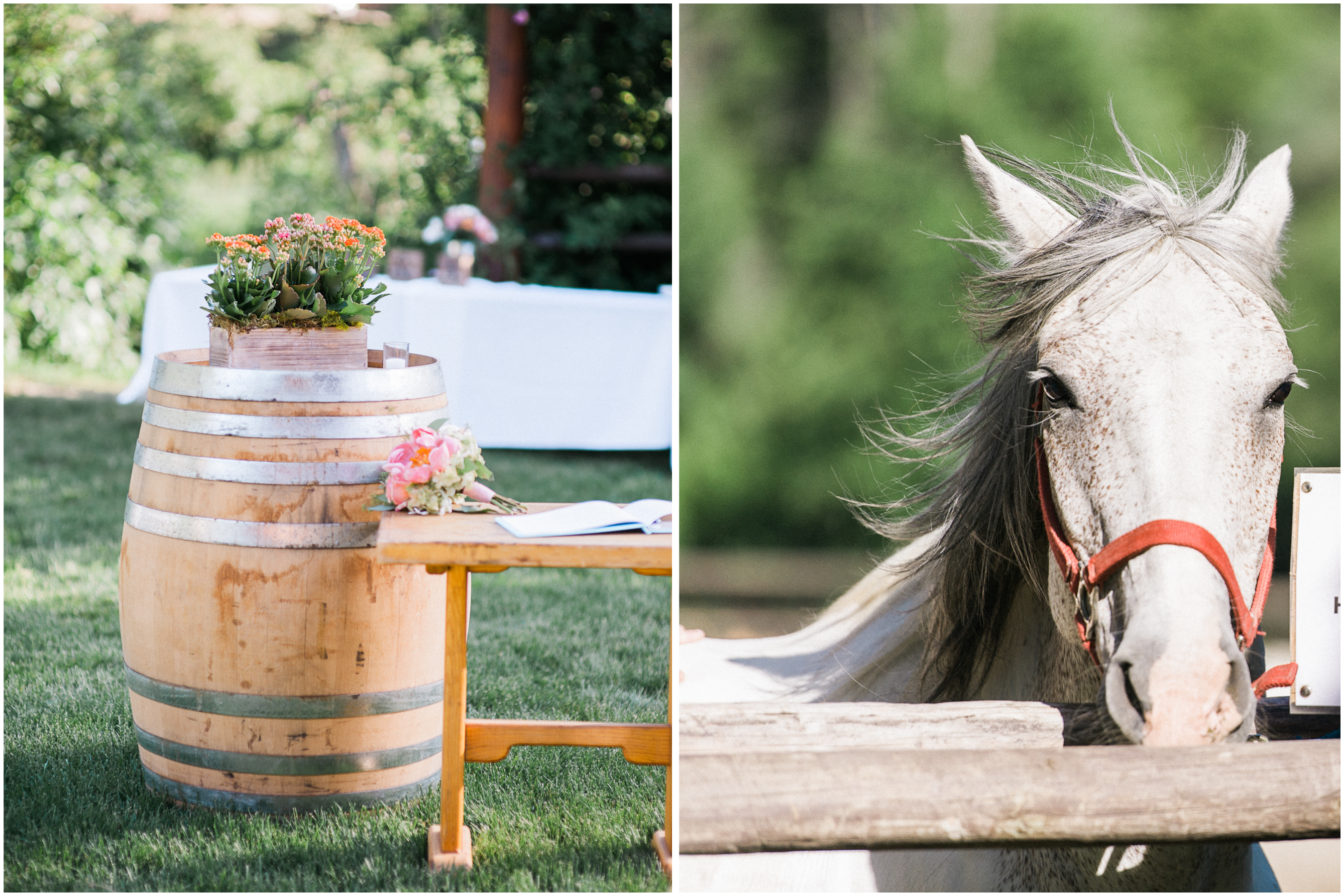 mountain springs lodge wedding leavenworth wa