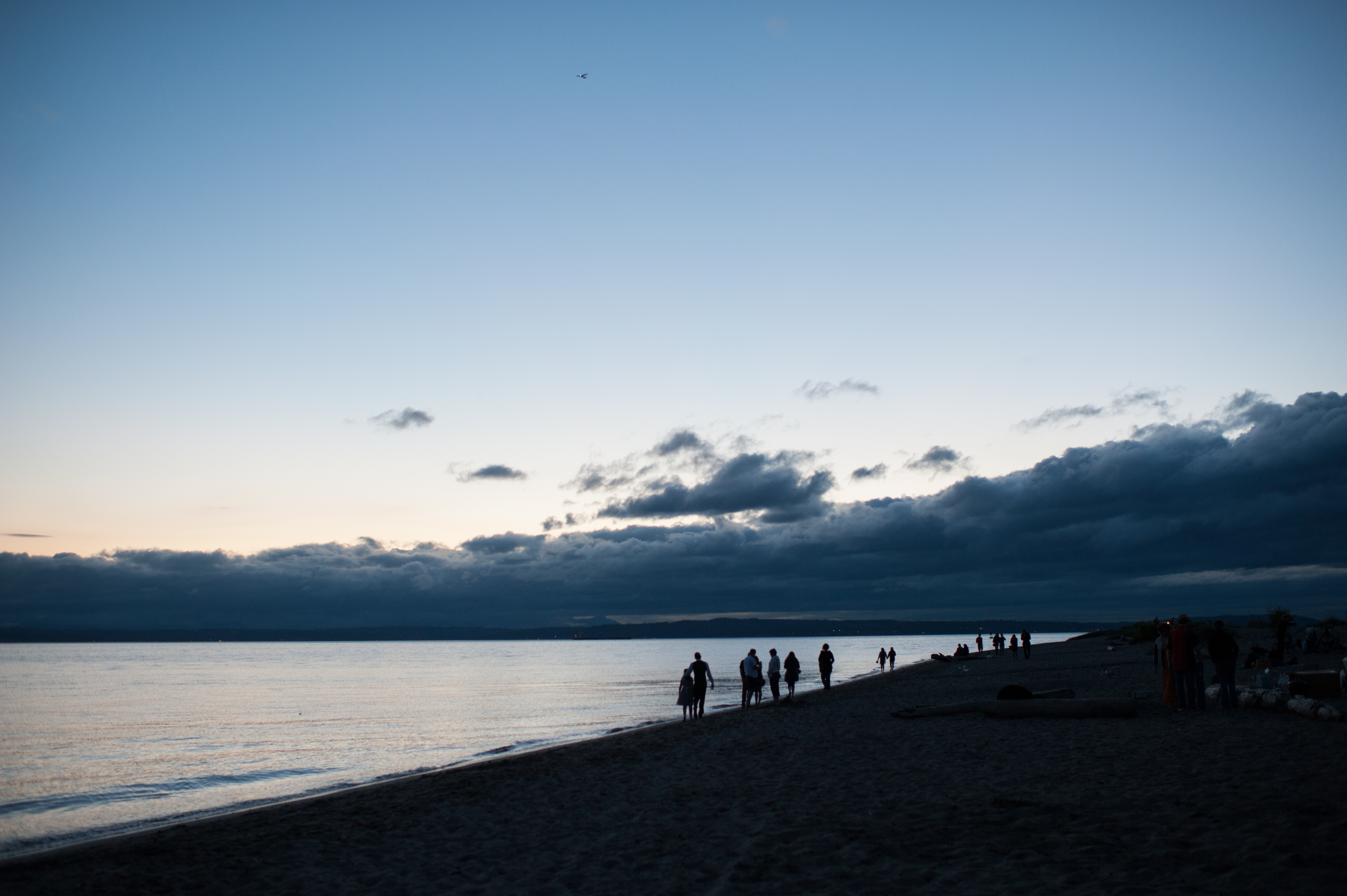 golden gardens wedding photography