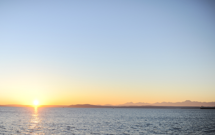 Seattle waterfront engagement session