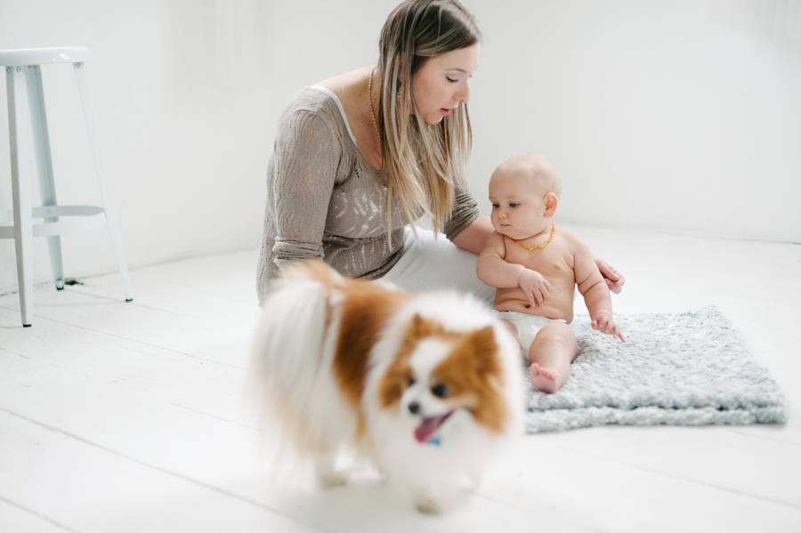 seattle studio baby portraits 6 months