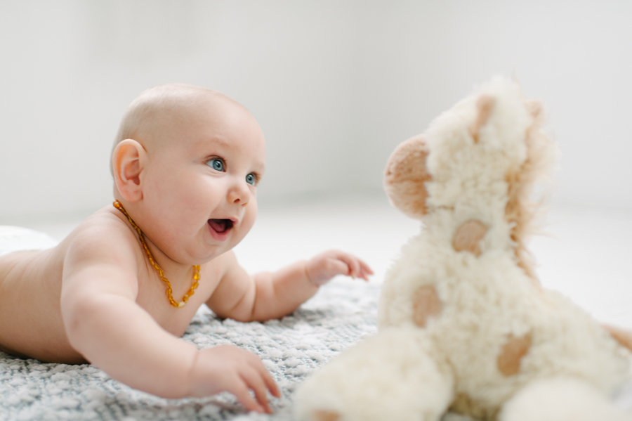 seattle studio baby portraits 6 months