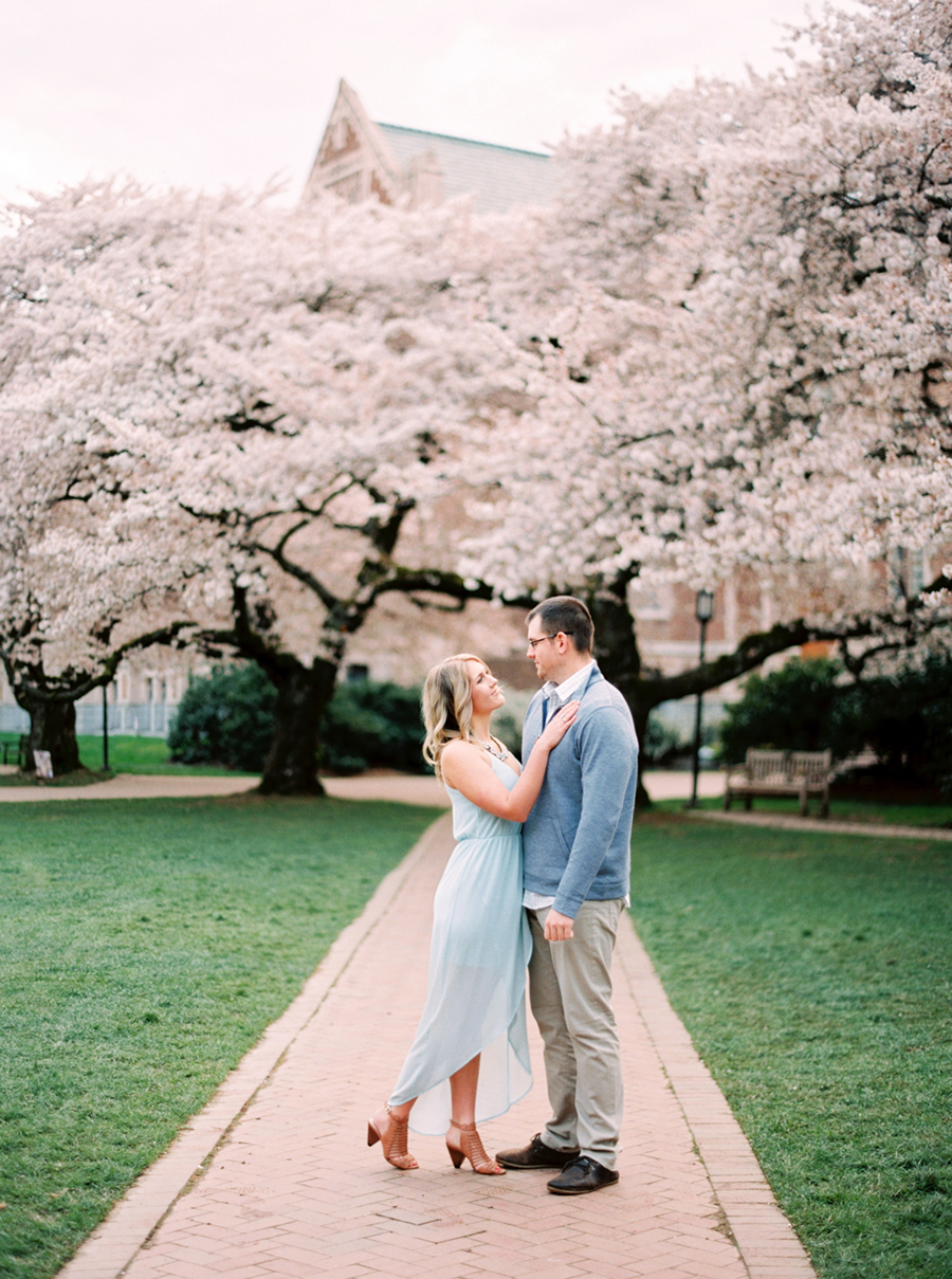 Cherry blossom spring engagement photos Seattle UW quad FILM fuji 400h