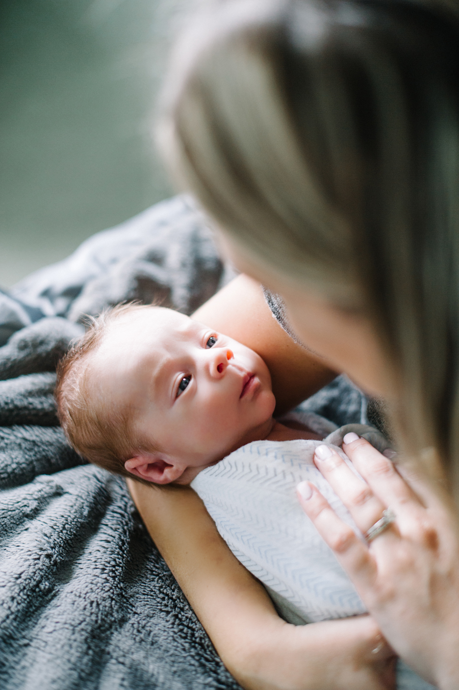 seattle newborn photography queen anne