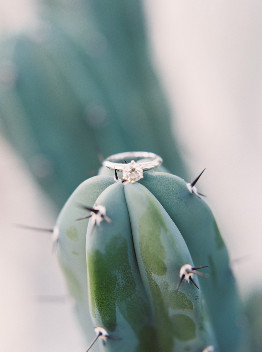 volunteer park seattle engagement photos film