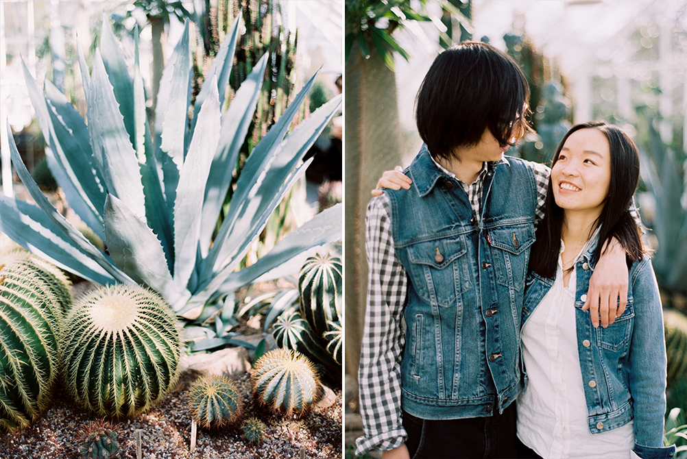 seattle fine art film engagement volunteer park conservatory fuji 400h