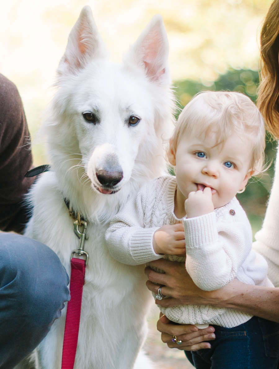 Seattle Family Photographer fall