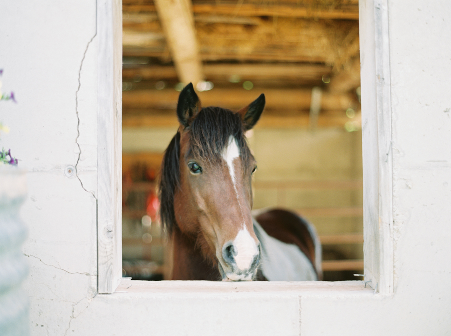 brown-family-homestead-wedding-leavenworth-001215