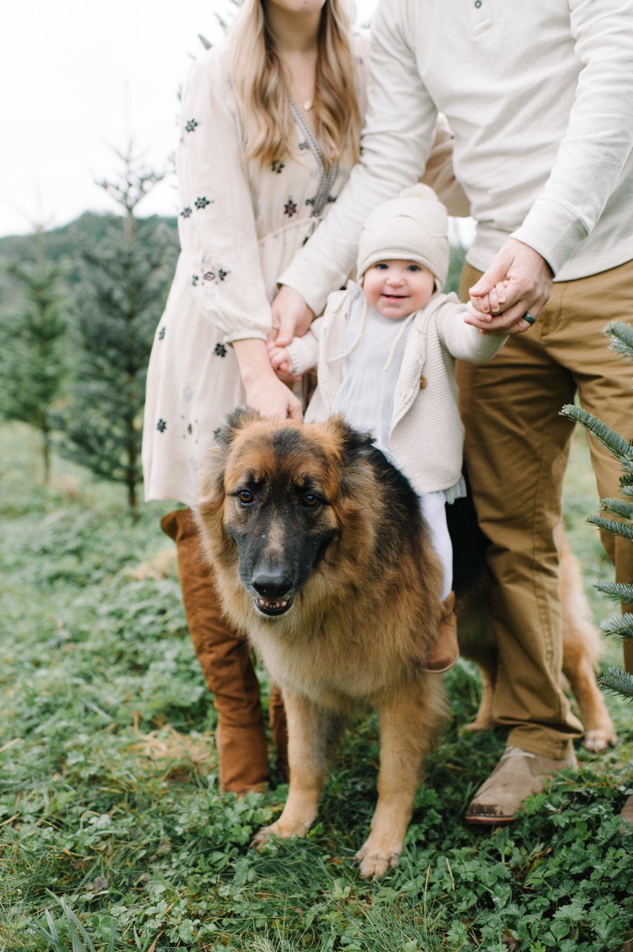 seattle-tree-farm-family-portraits014