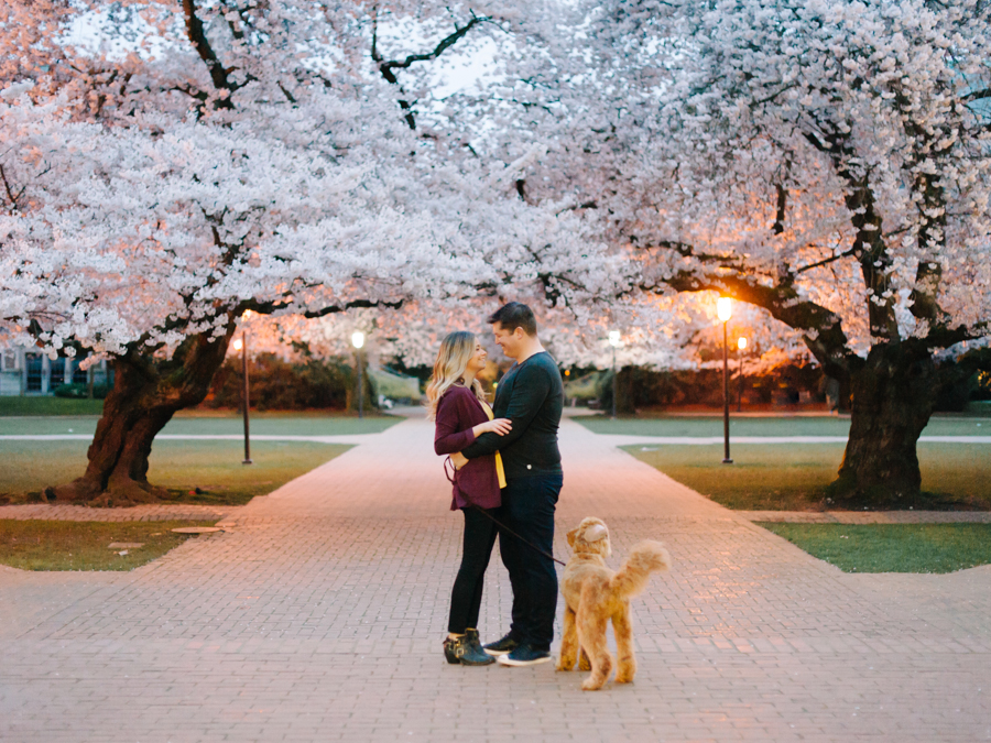 uw quad engagement cherry blossom photos